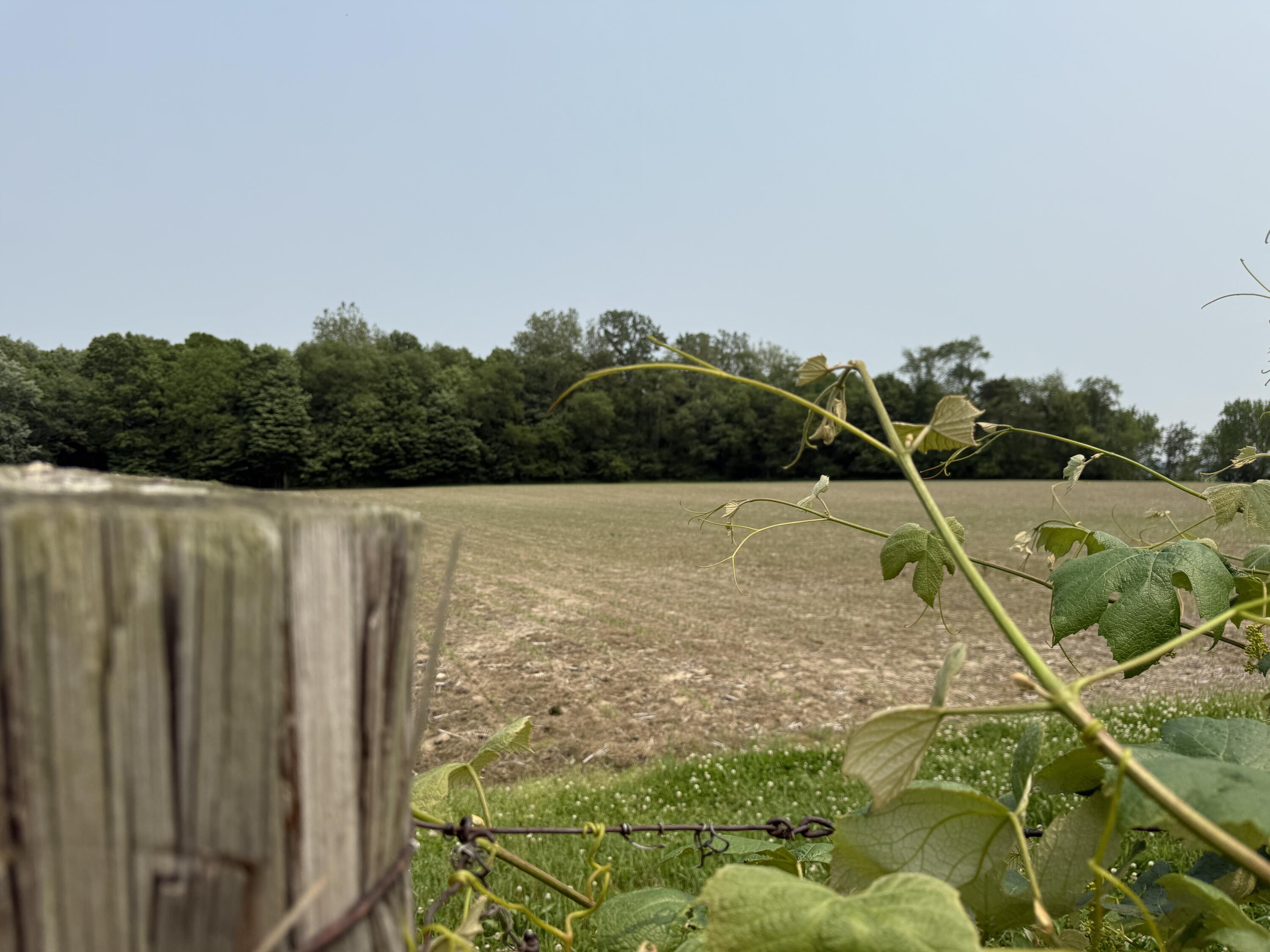 V/l Scottdale Road Berrien Springs MI 49103