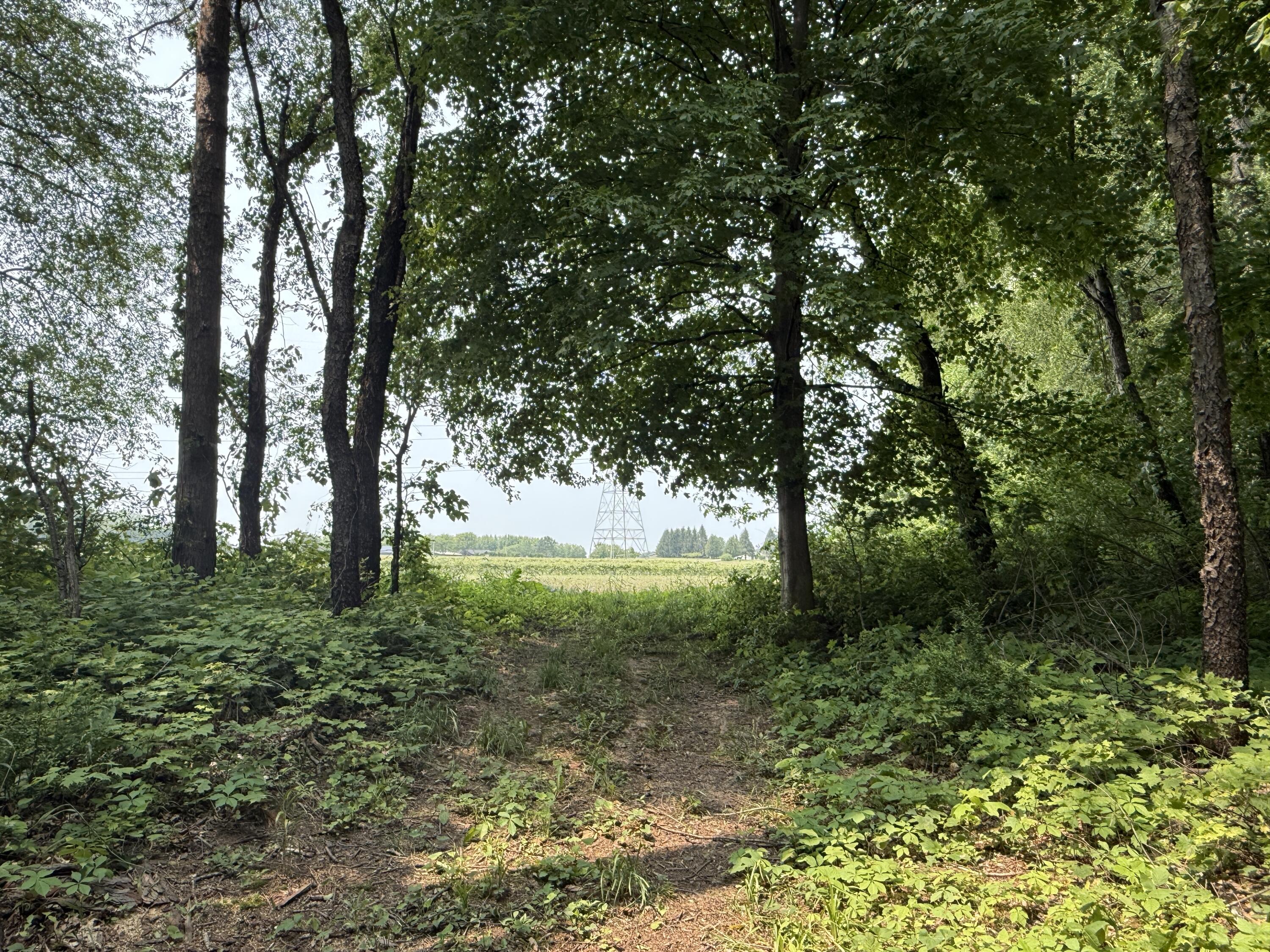 V/l Scottdale Road Berrien Springs MI 49103