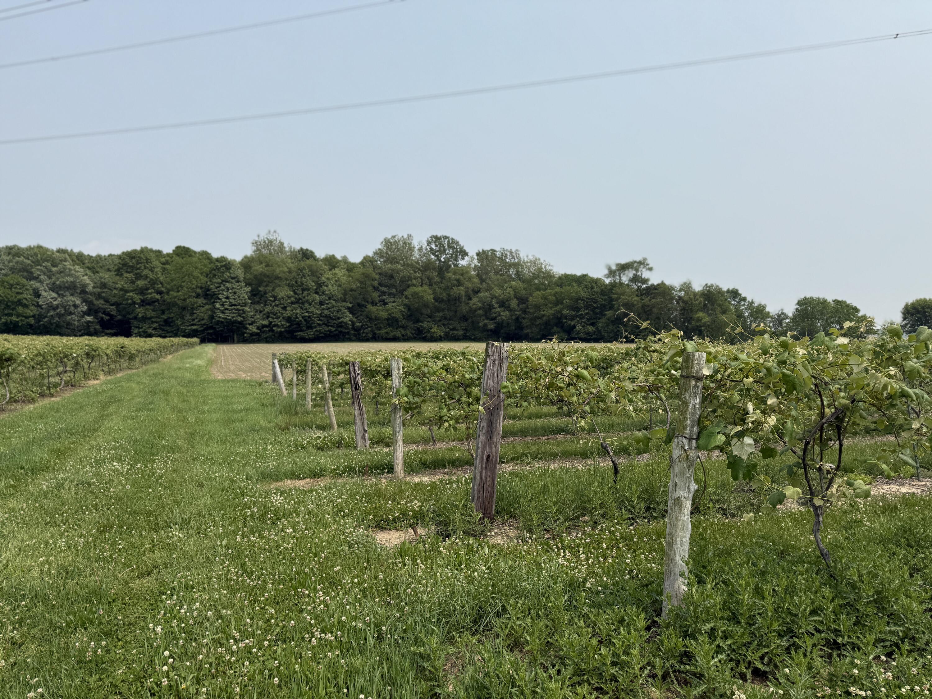 V/l Scottdale Road Berrien Springs MI 49103