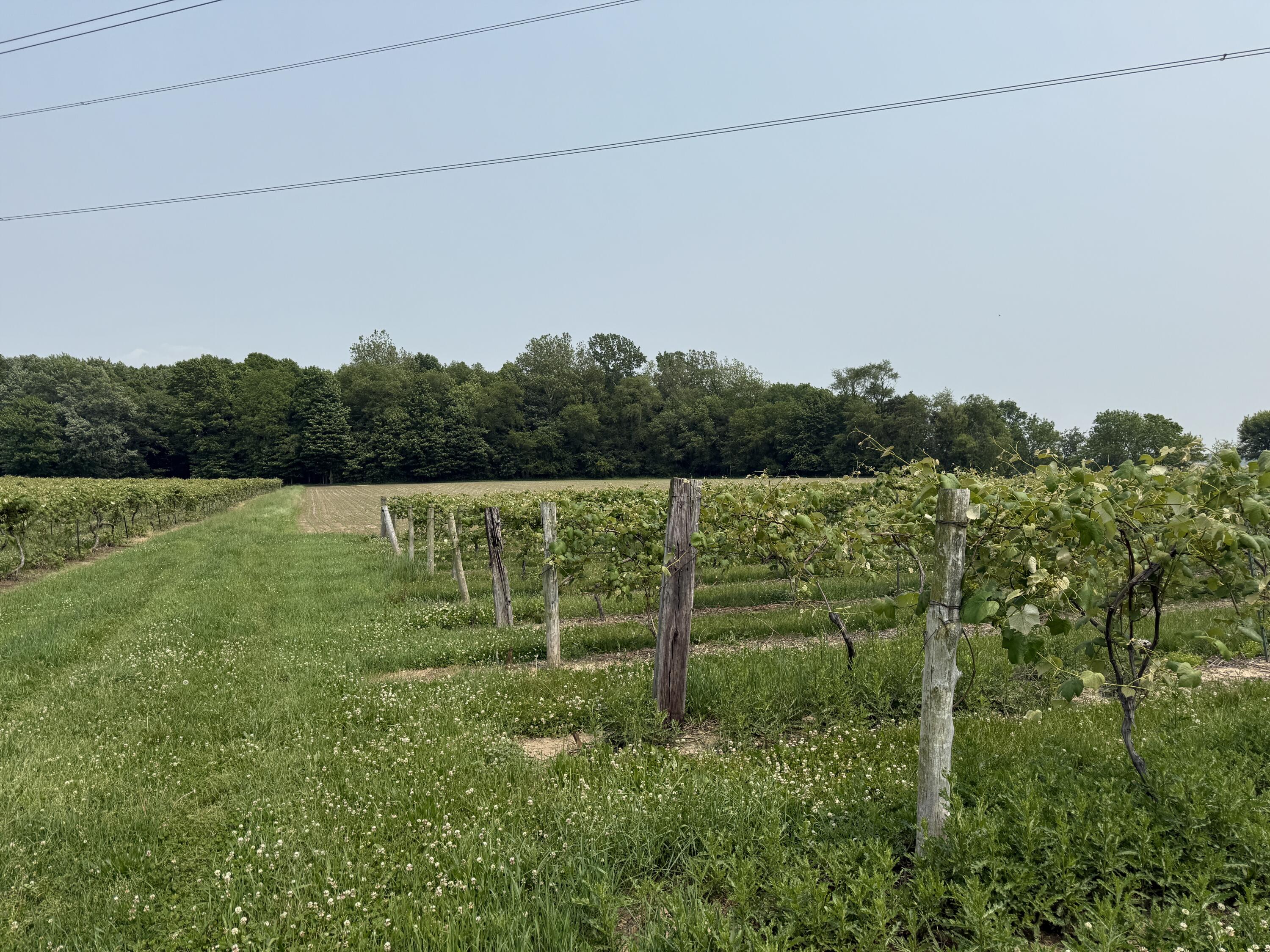 V/l Scottdale Road Berrien Springs MI 49103