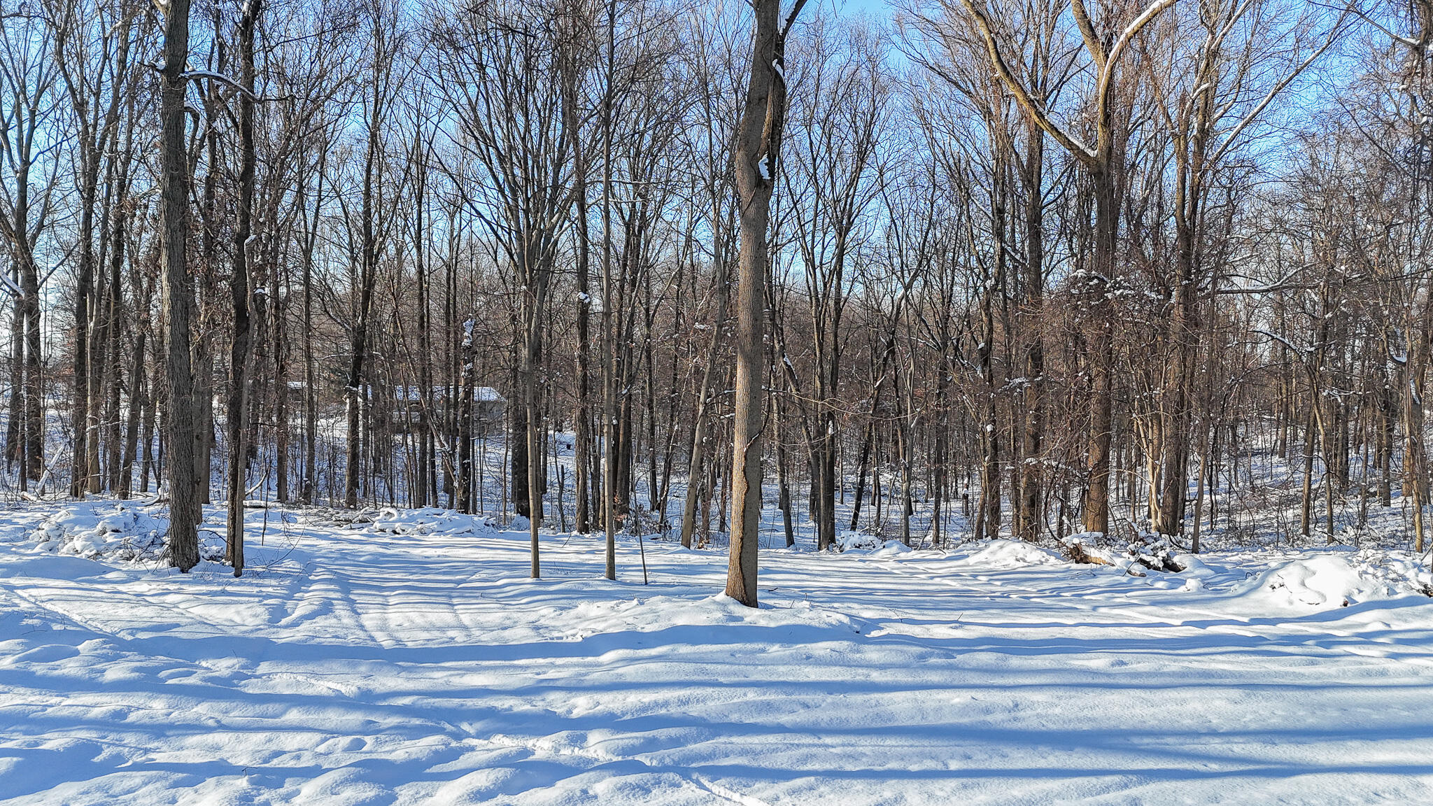 6 Forest Road Dowagiac MI 49047