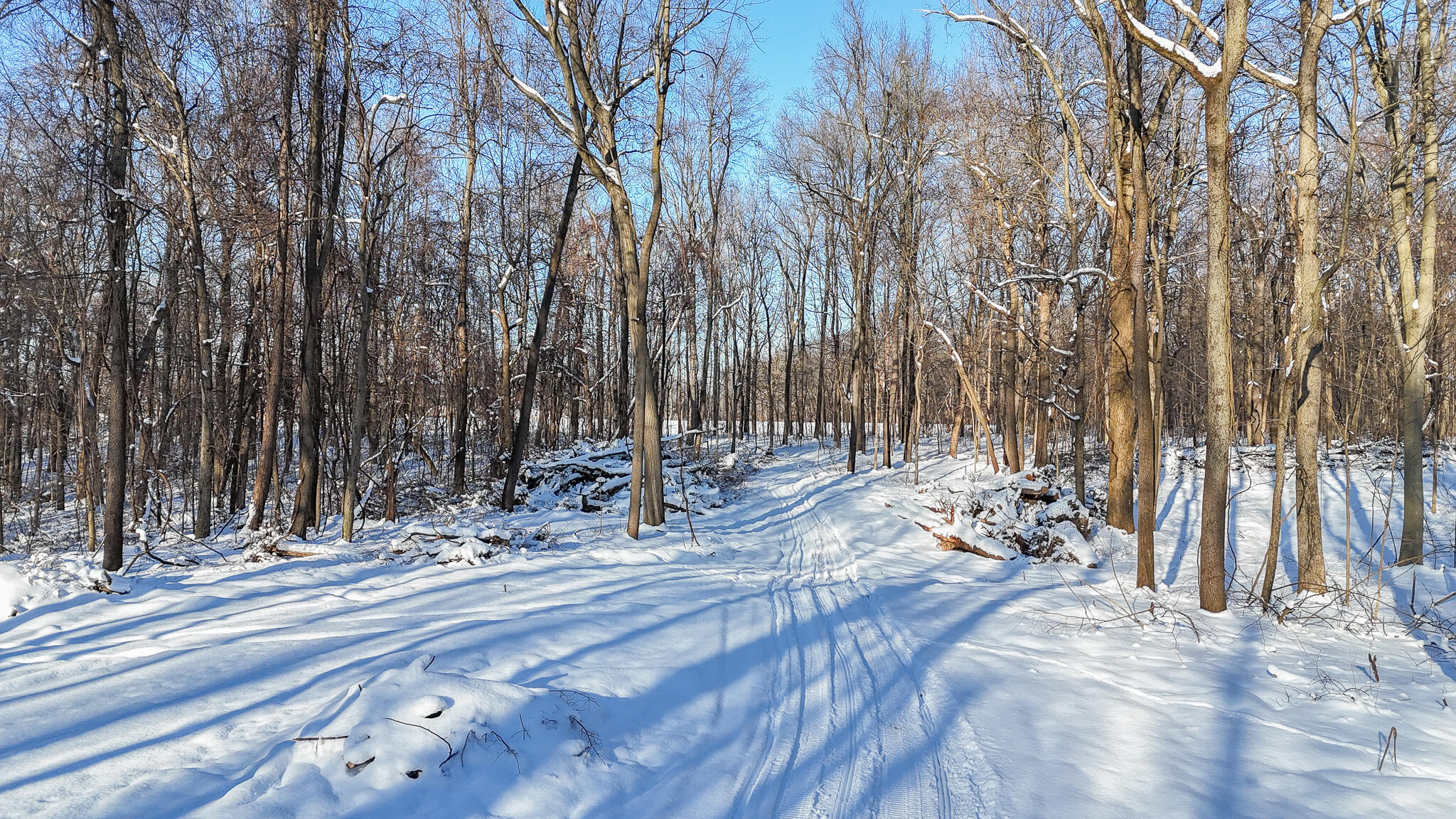 6 Forest Road Dowagiac MI 49047