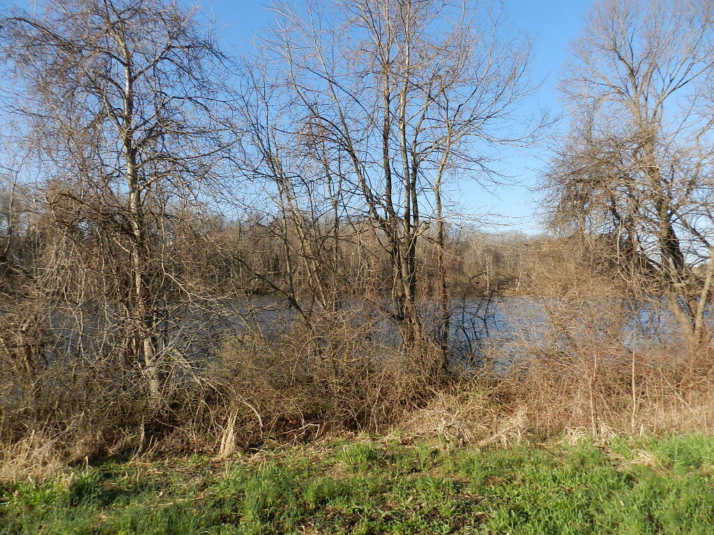 520 Swan River Drive Benton Harbor MI 49022
