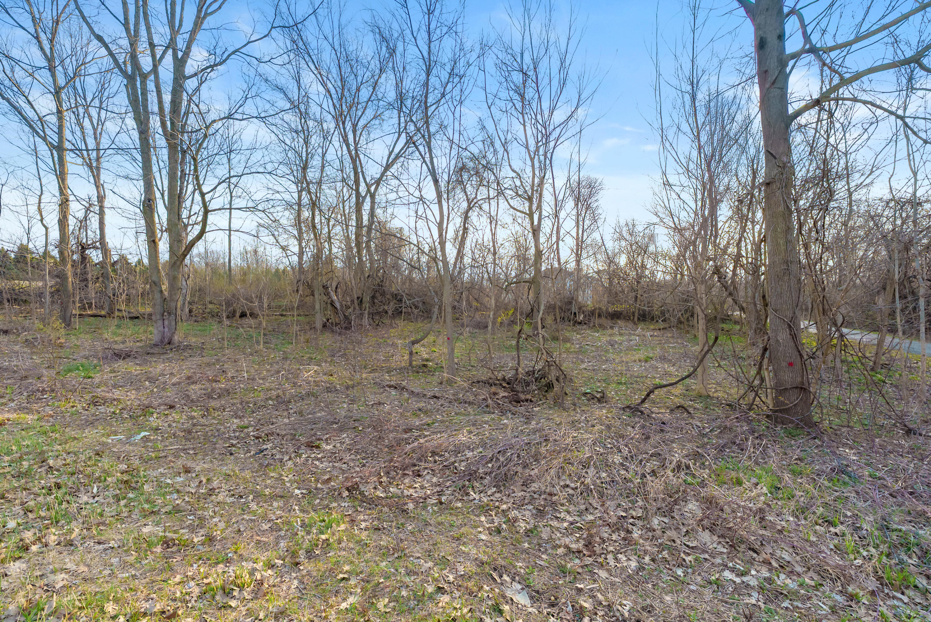 V/L-2 Red Bud Trail Berrien Springs MI 49103