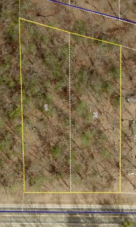 Monroe Vacant Land 2 Parcels Road Allegan MI 49010