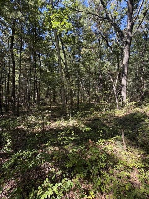 Monroe Vacant Land 2 Parcels Road Allegan MI 49010