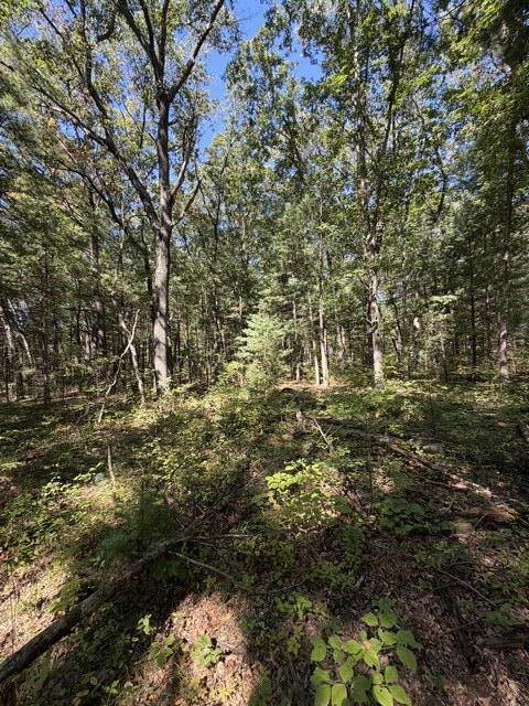 Monroe Vacant Land 2 Parcels Road Allegan MI 49010