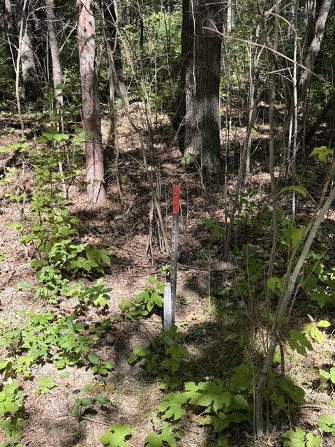 Monroe Vacant Land 2 Parcels Road Allegan MI 49010