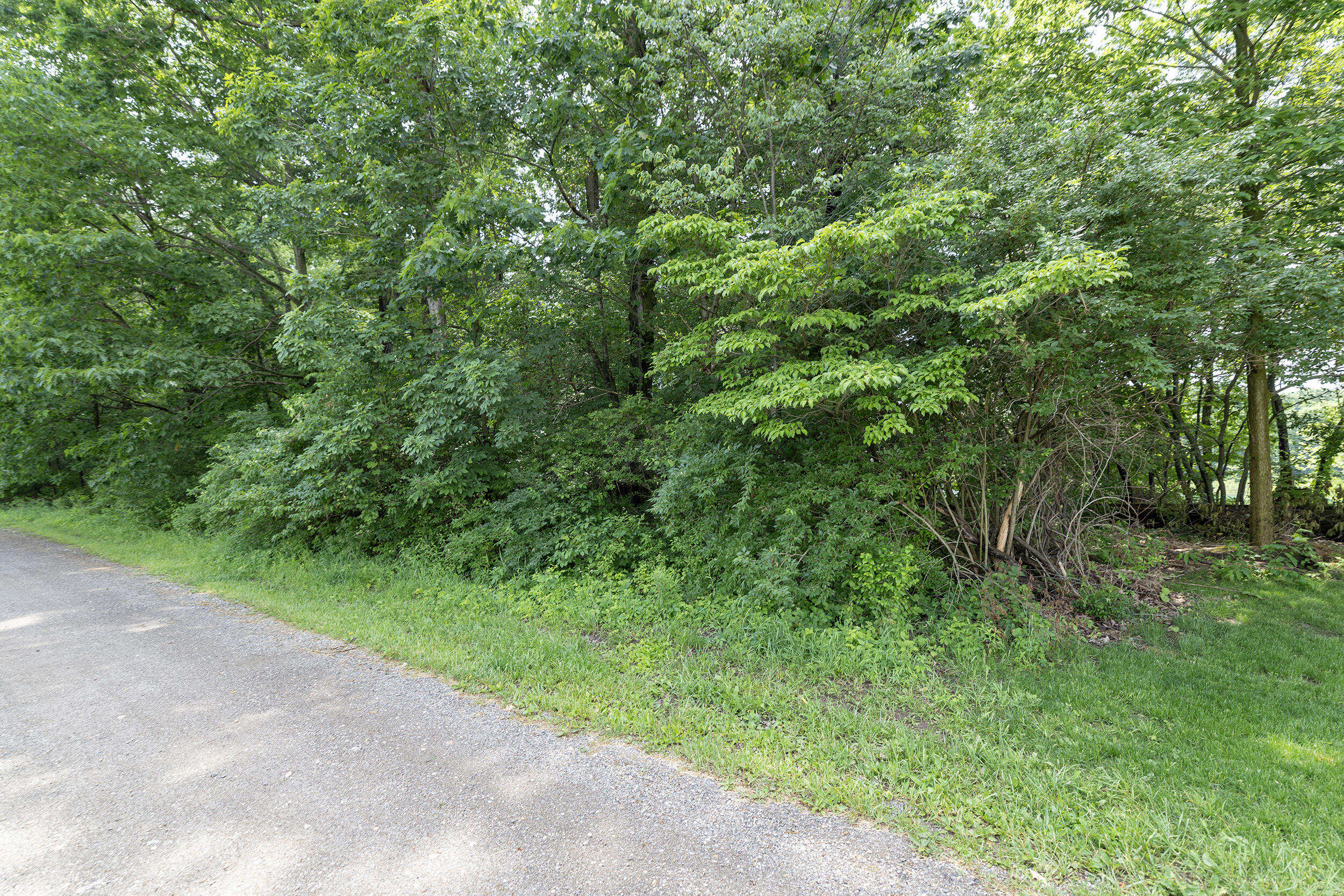 21597 Puterbaugh Lane Cassopolis MI 49031