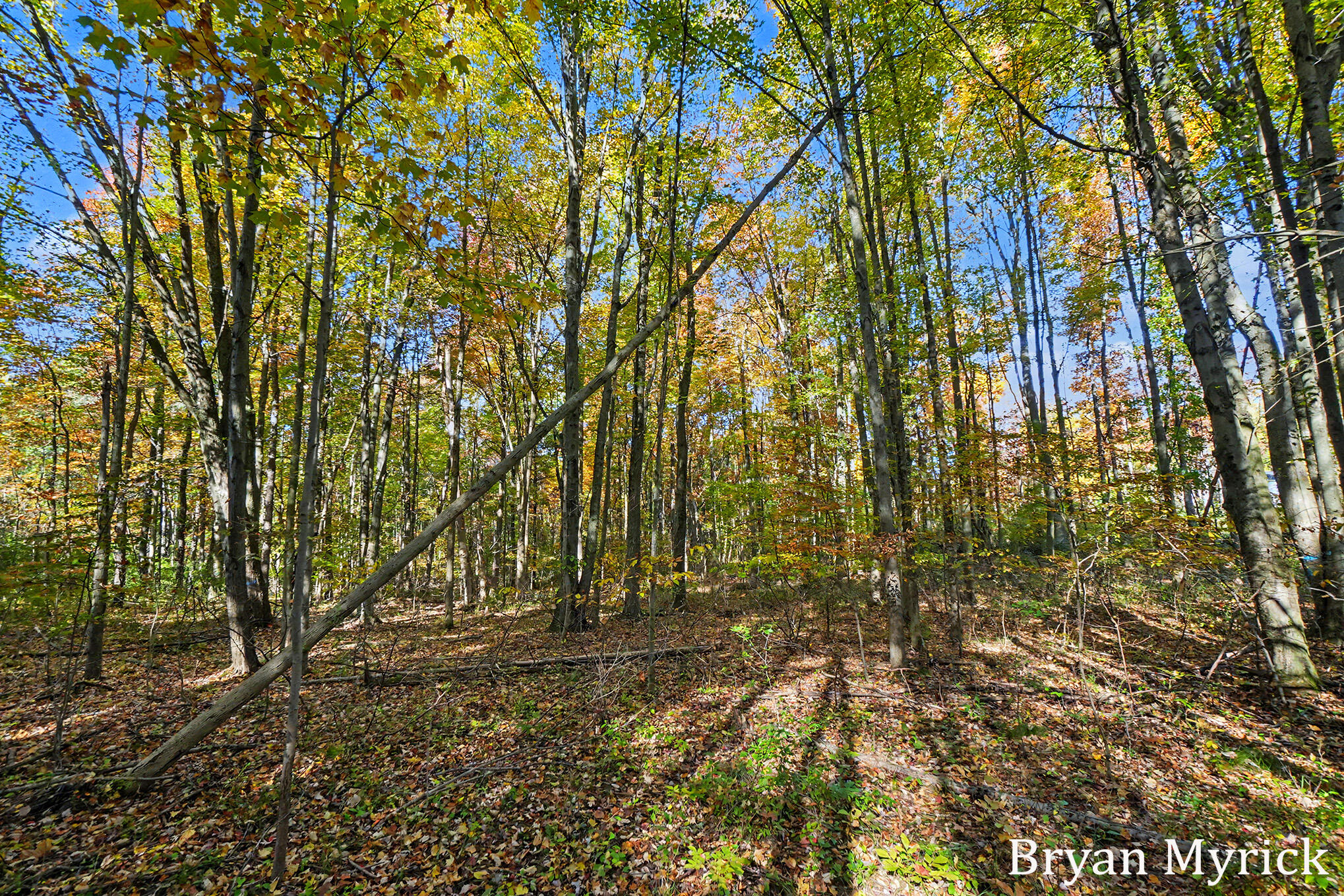 2352 Taft Road Allegan MI 49010