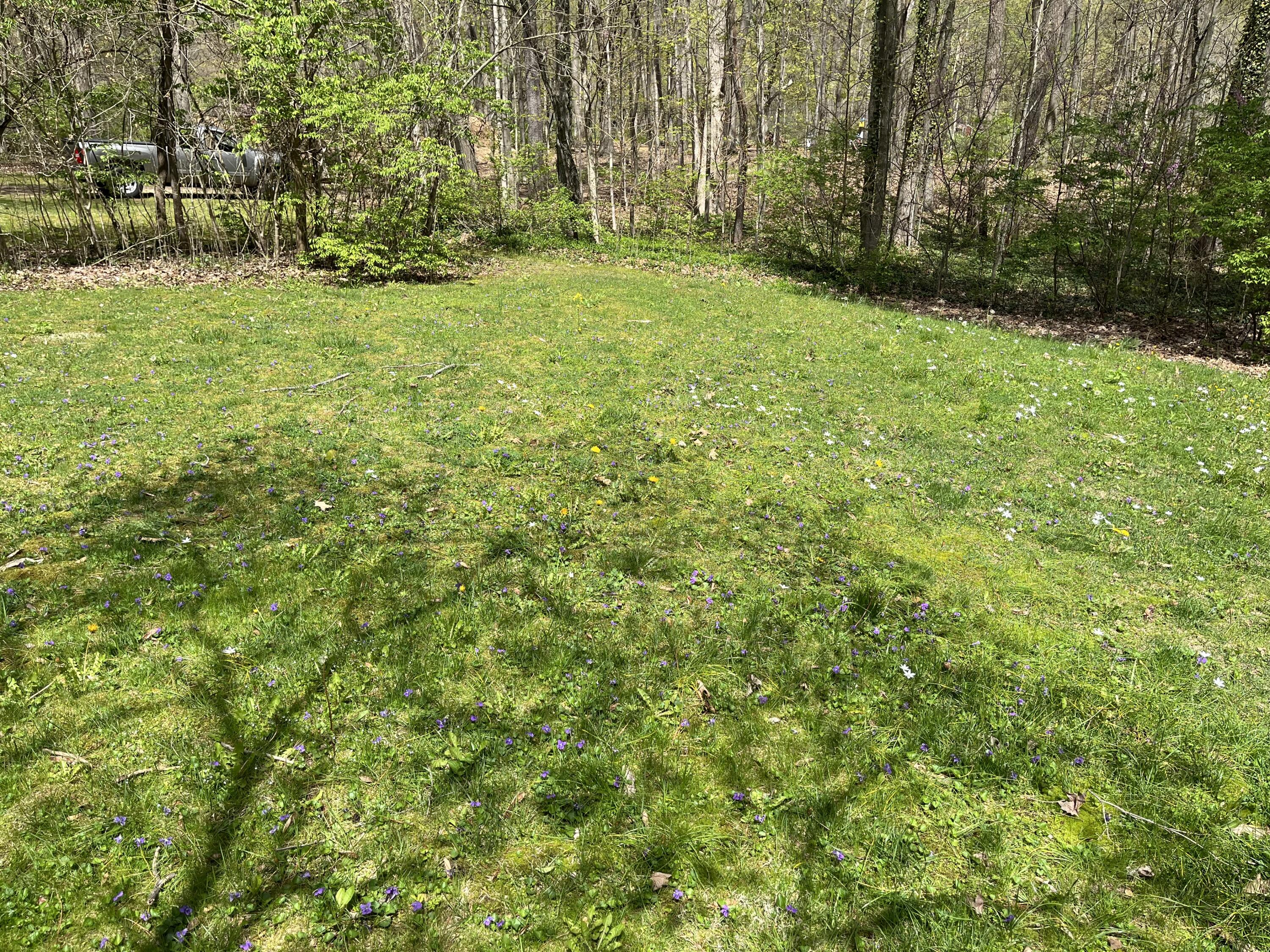 4336 Hills Haven Road Buchanan MI 49107