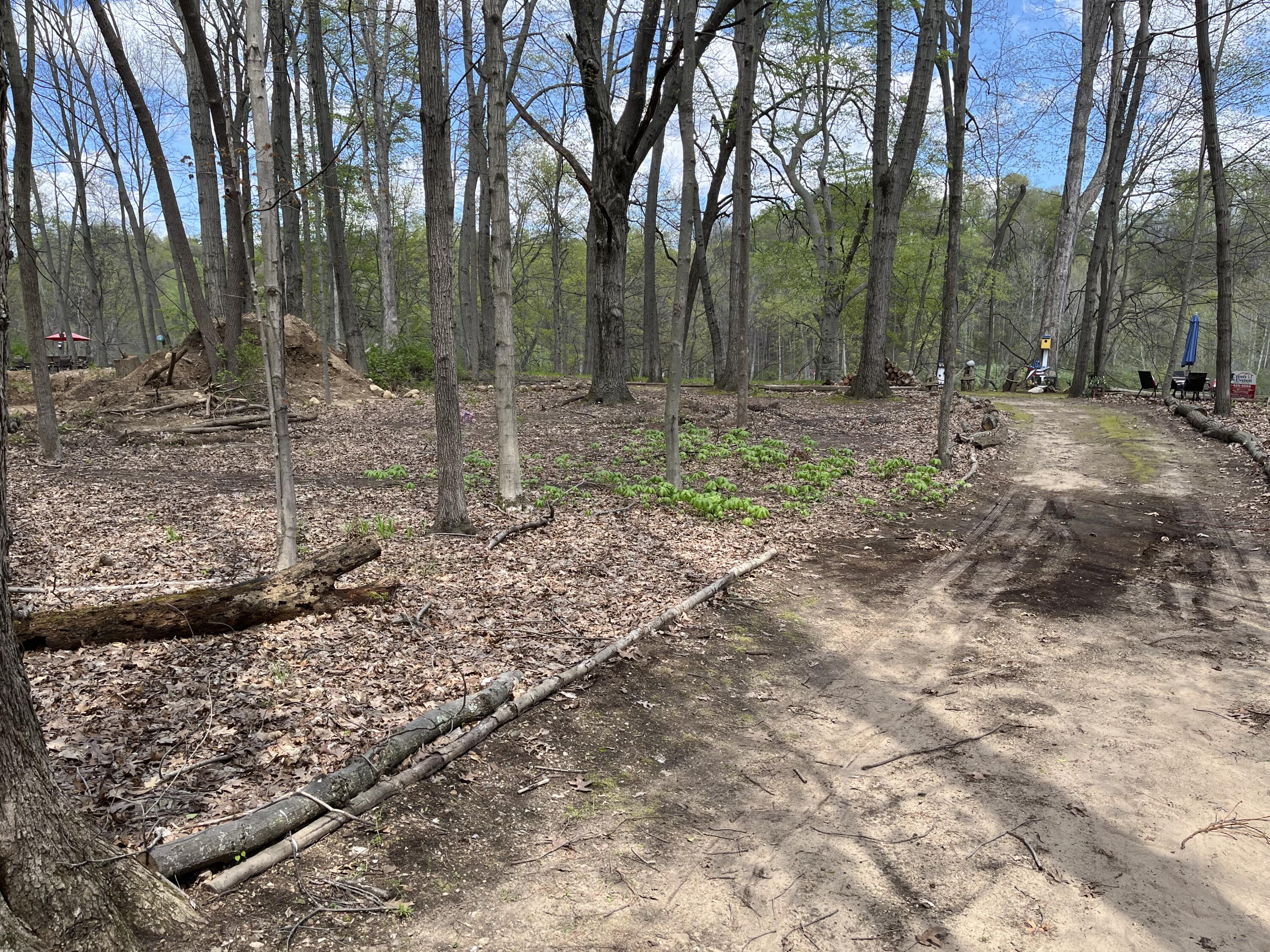 4336 Hills Haven Road Buchanan MI 49107