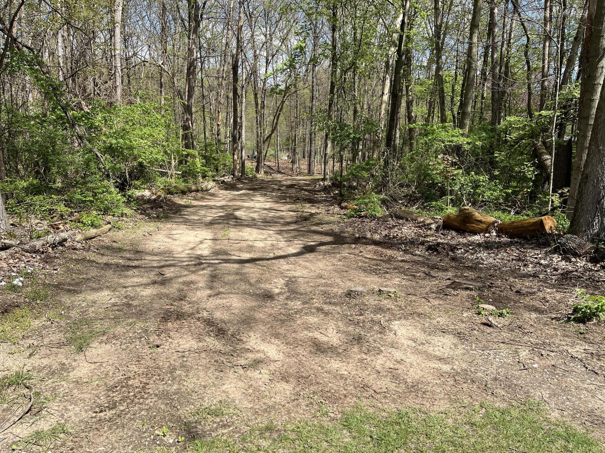 4336 Hills Haven Road Buchanan MI 49107