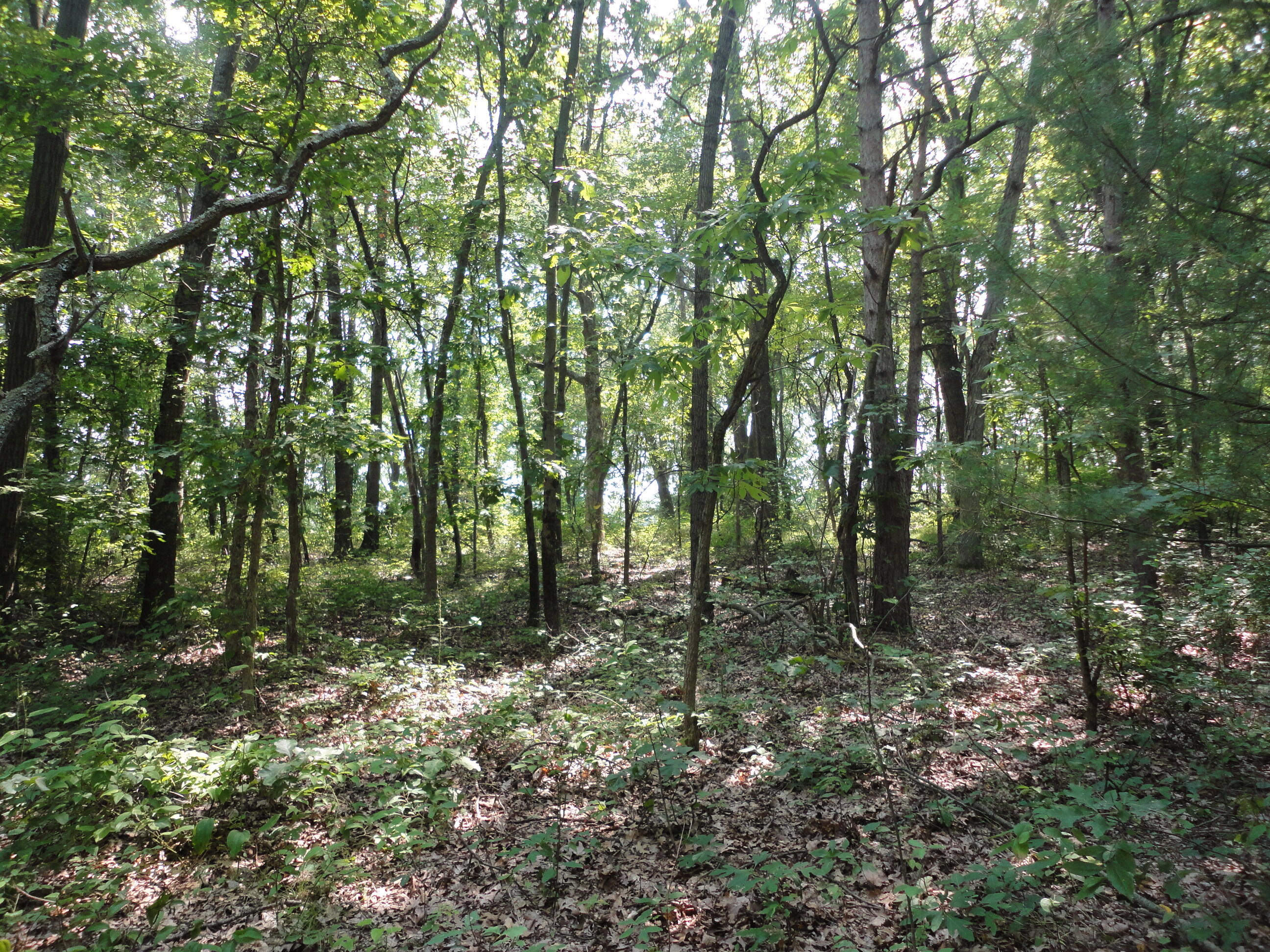 Parcel A Cr 215 Avenue Grand Junction MI 49056