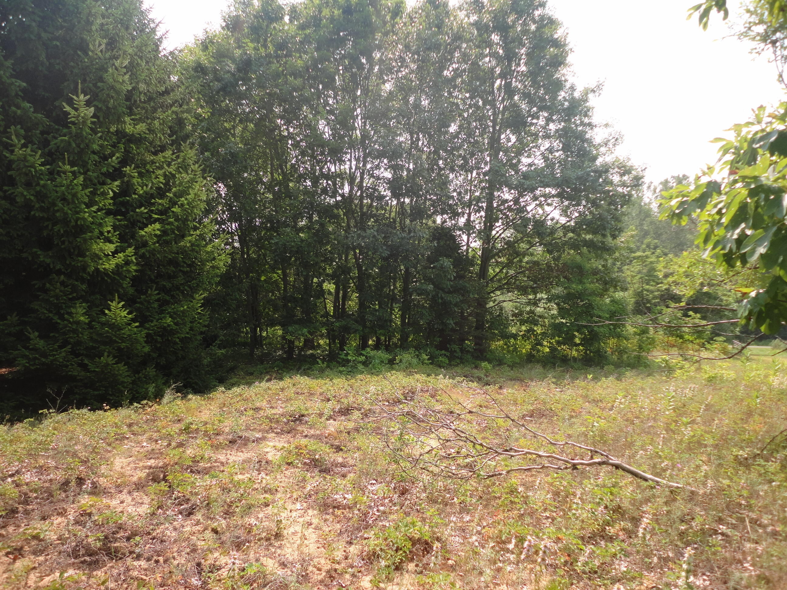 Parcel A Cr 215 Avenue Grand Junction MI 49056