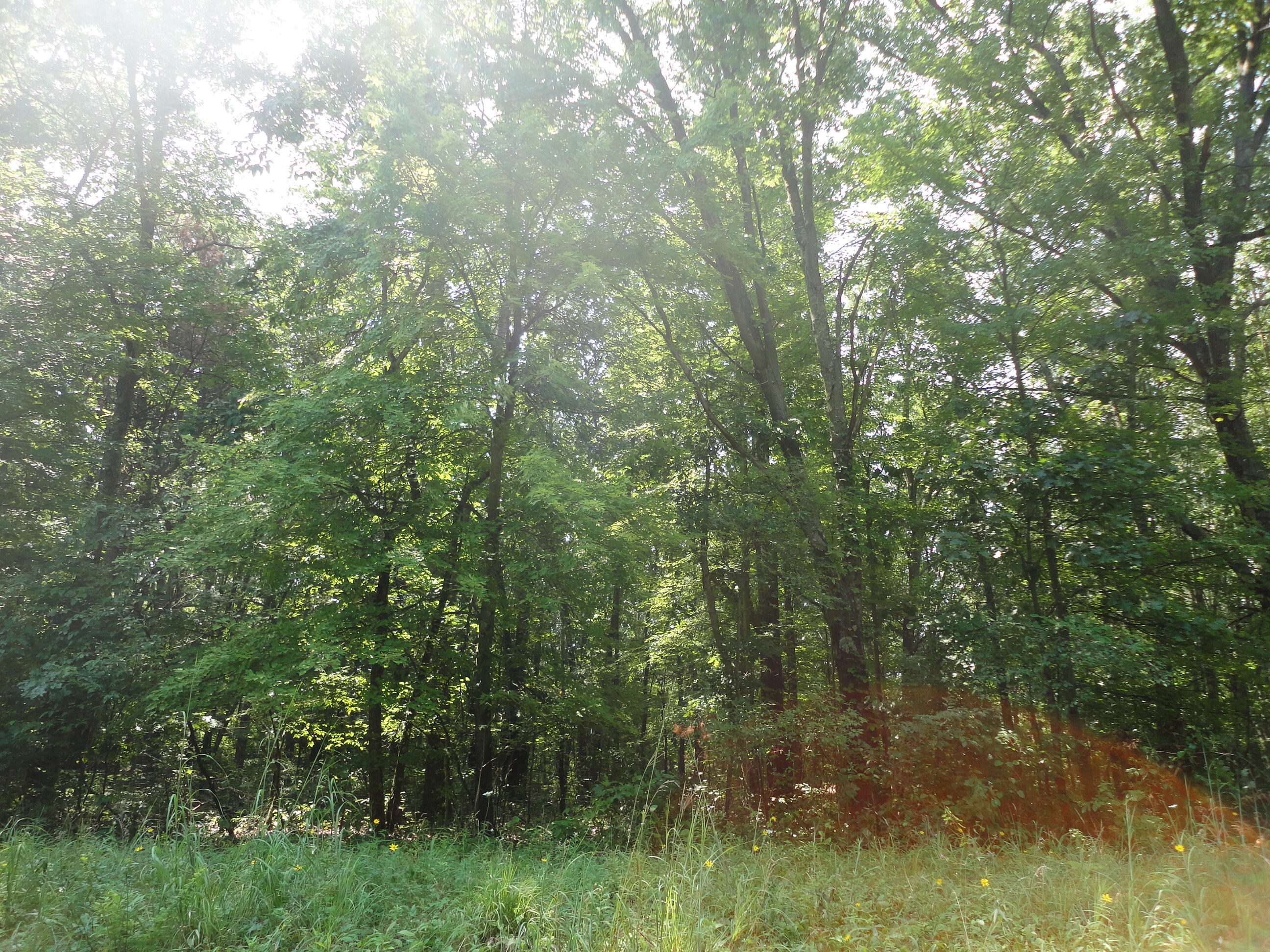 Parcel A Cr 215 Avenue Grand Junction MI 49056