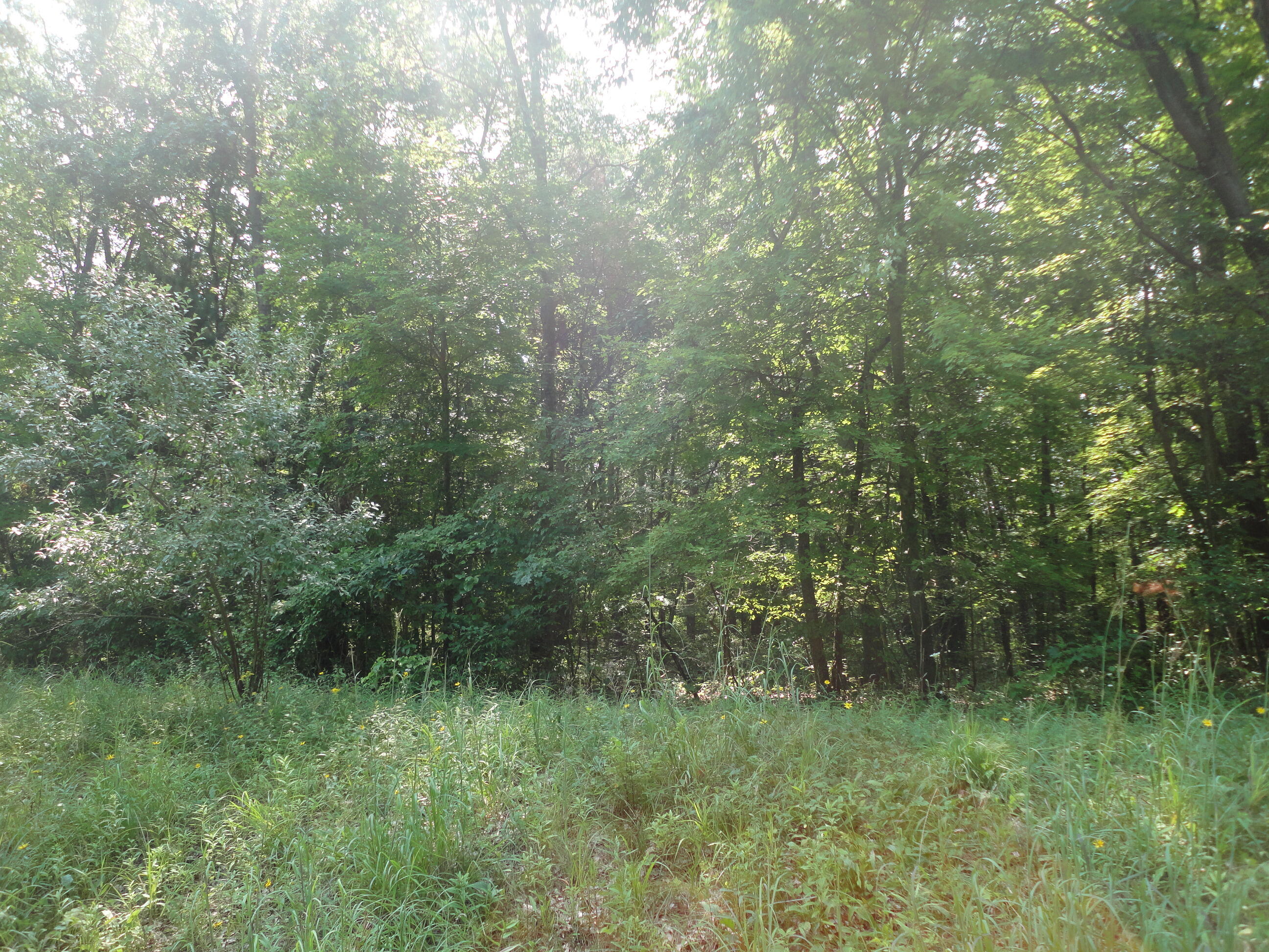 Parcel A Cr 215 Avenue Grand Junction MI 49056
