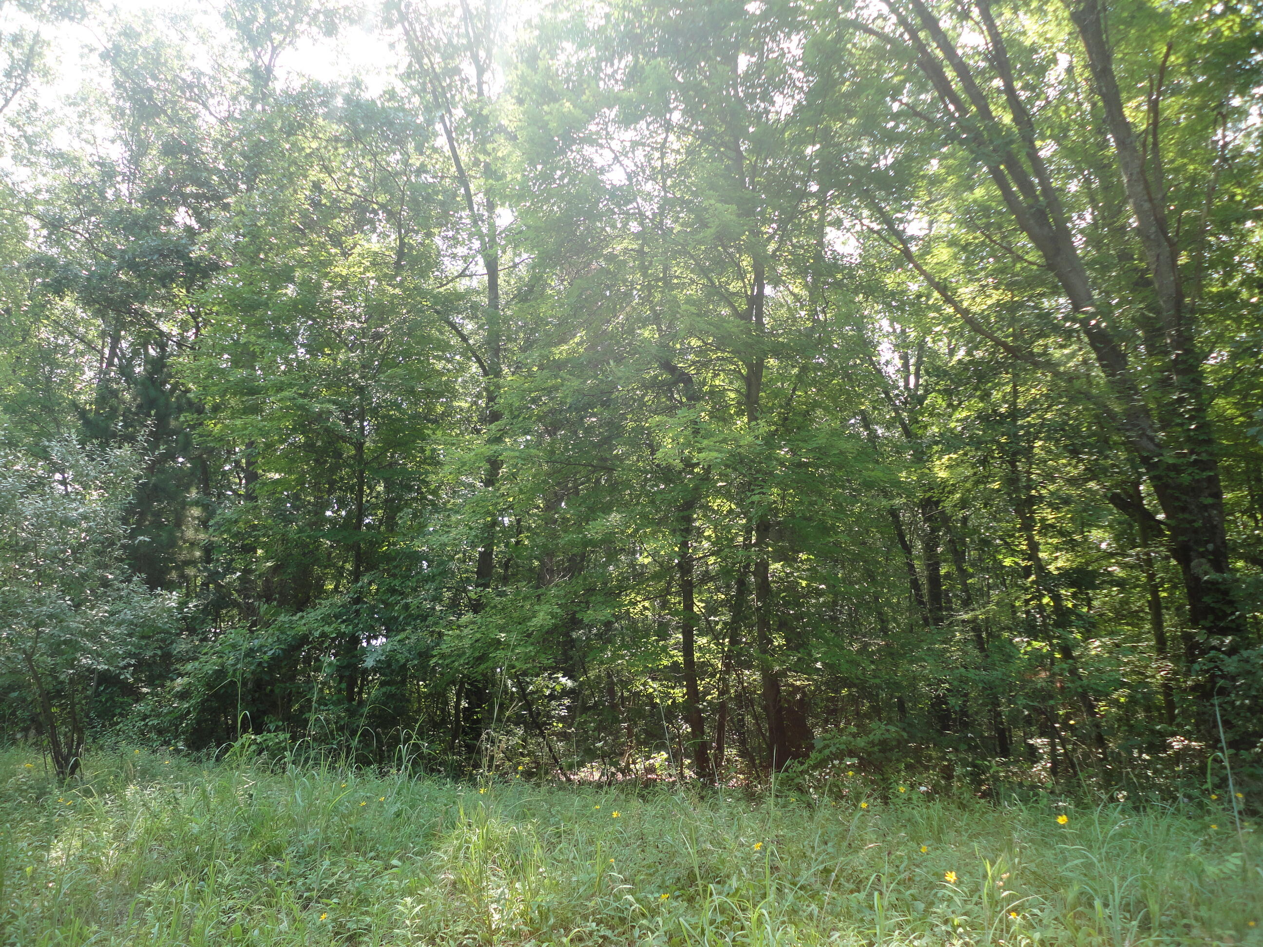 Parcel A Cr 215 Avenue Grand Junction MI 49056