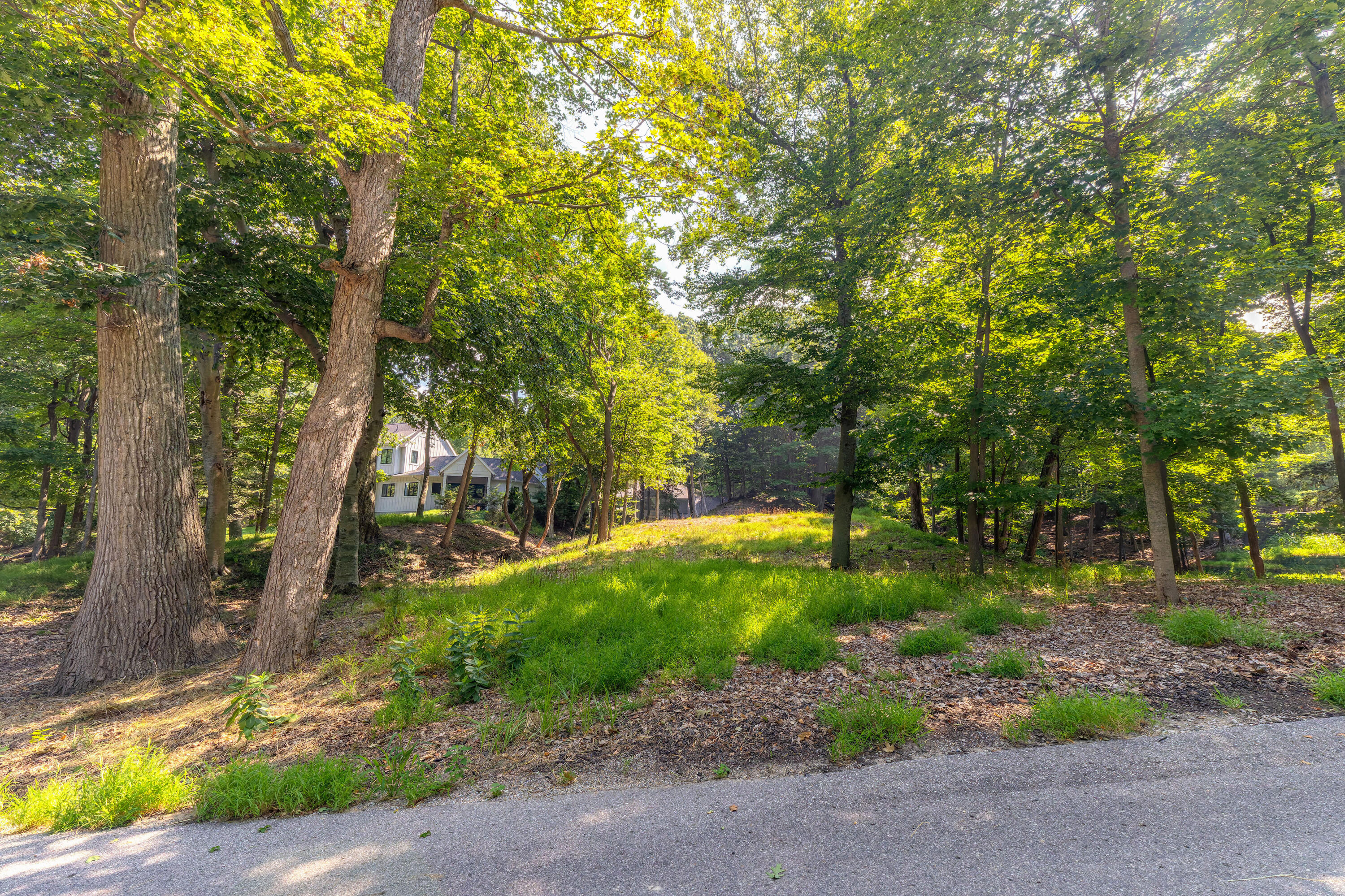 345 Dunegrass Ridge Saugatuck MI 49453