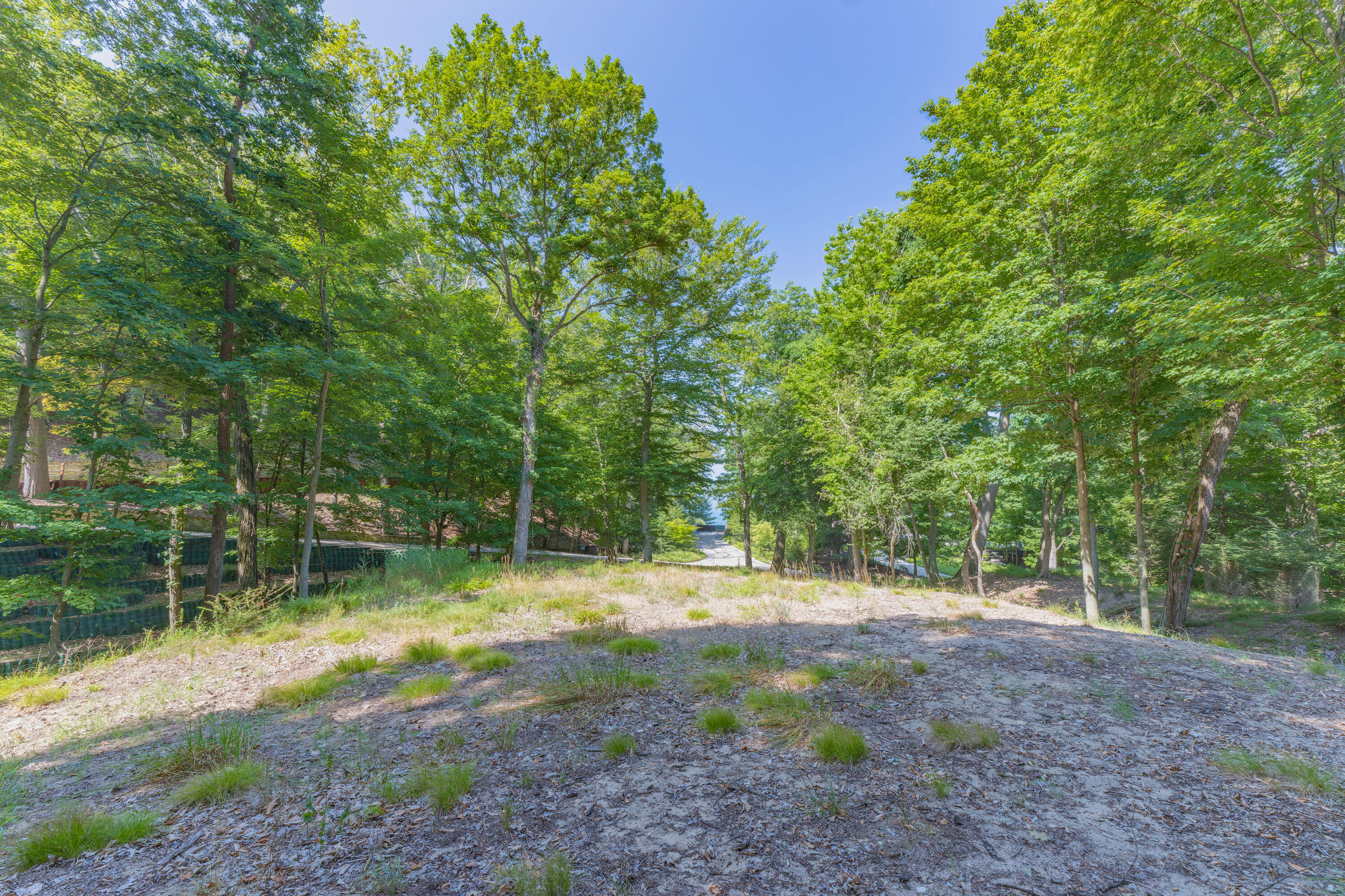 345 Dunegrass Ridge Saugatuck MI 49453