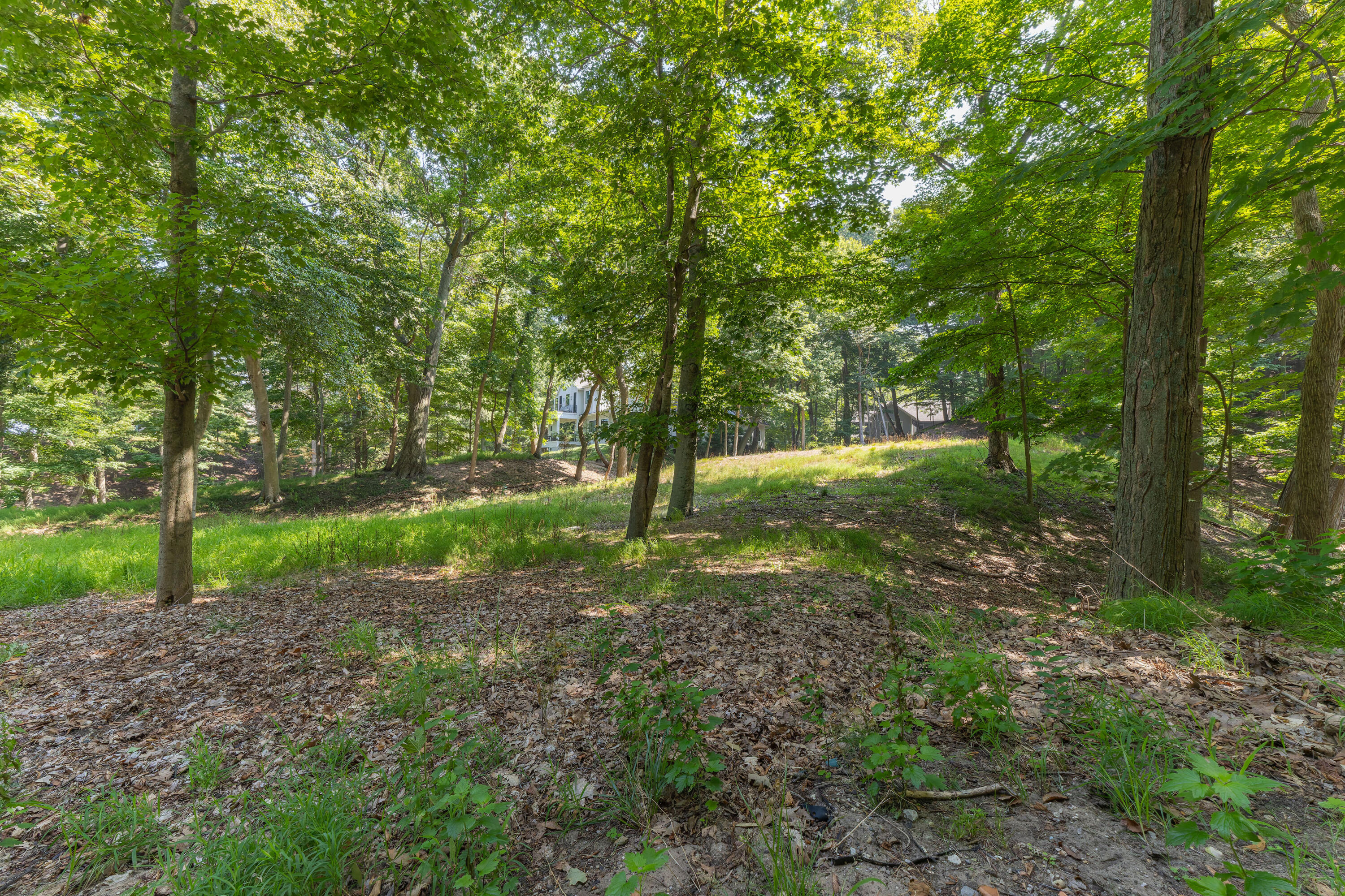 345 Dunegrass Ridge Saugatuck MI 49453