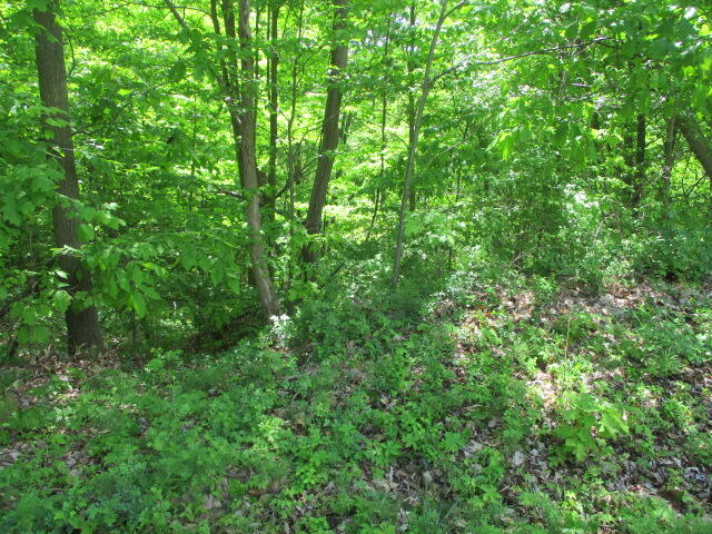 3670 Ohio Street Coloma MI 49038