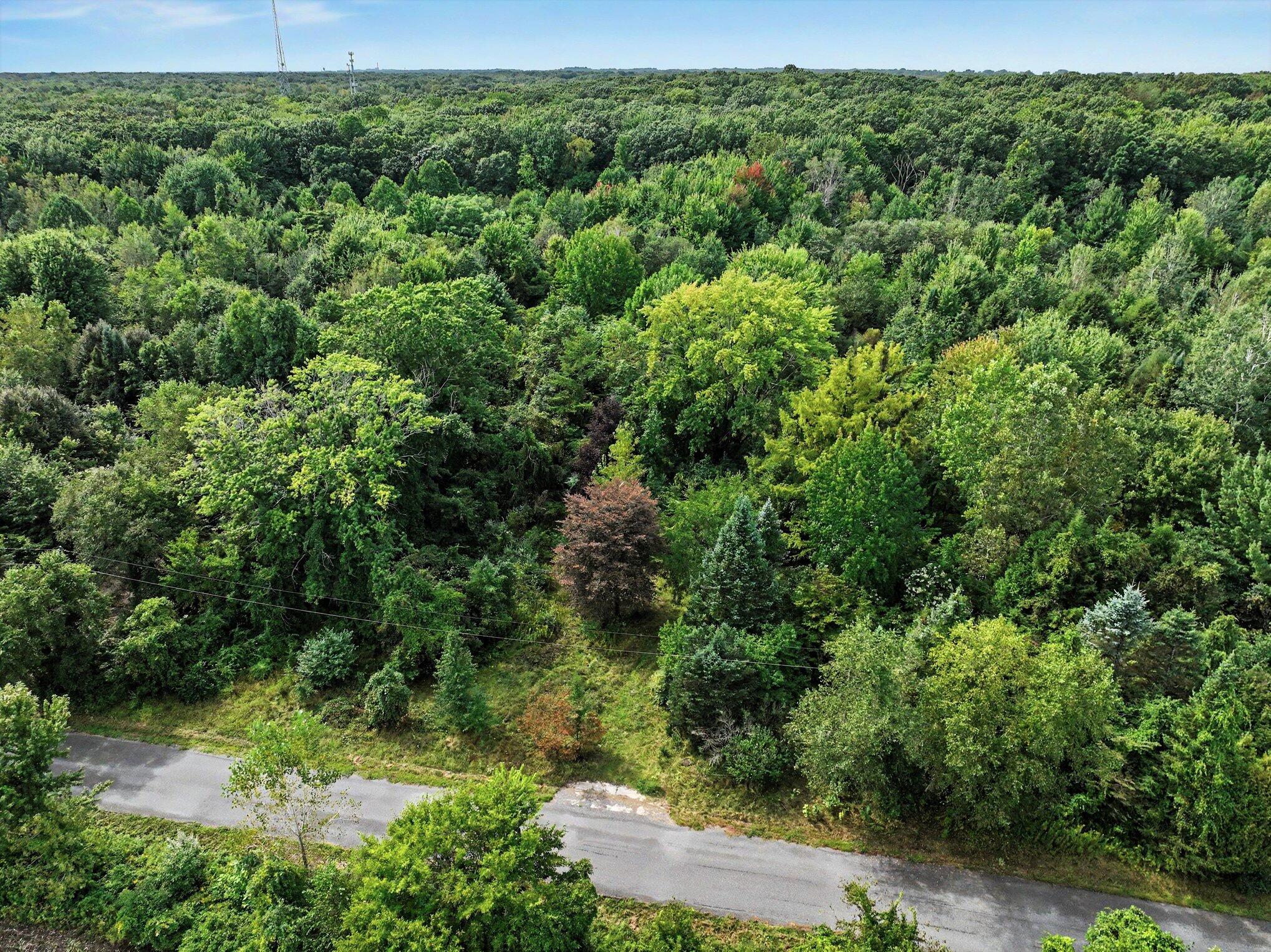 18312 Kinst Road New Buffalo MI 49117