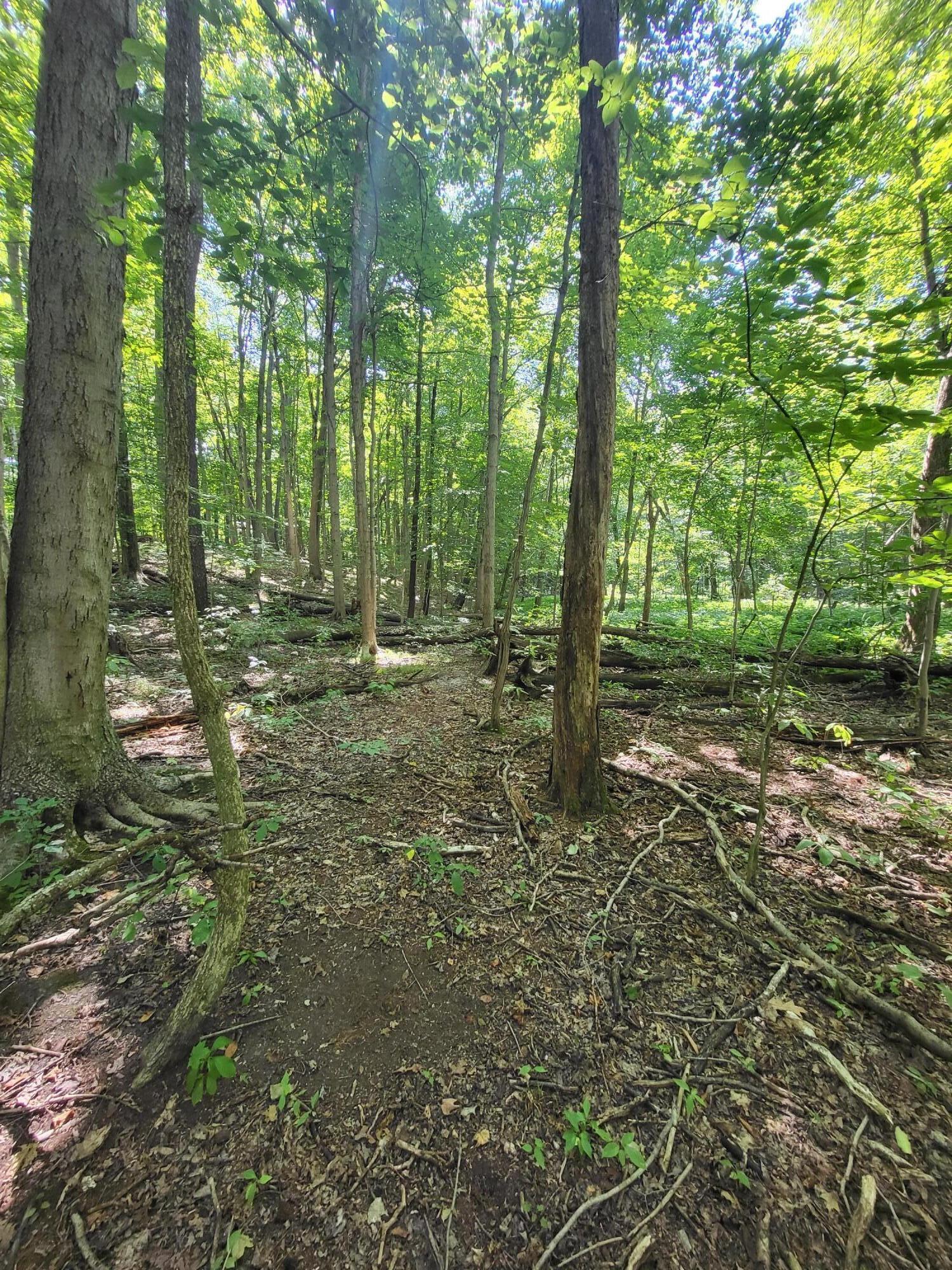 1400 Block Broceus School Road Buchanan MI 49107