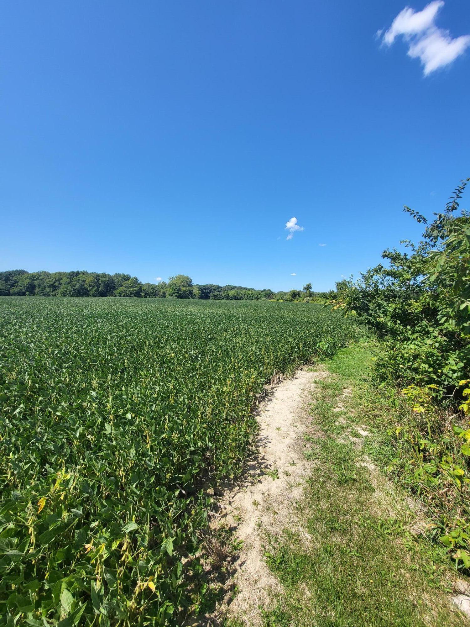 1400 Block Broceus School Road Buchanan MI 49107