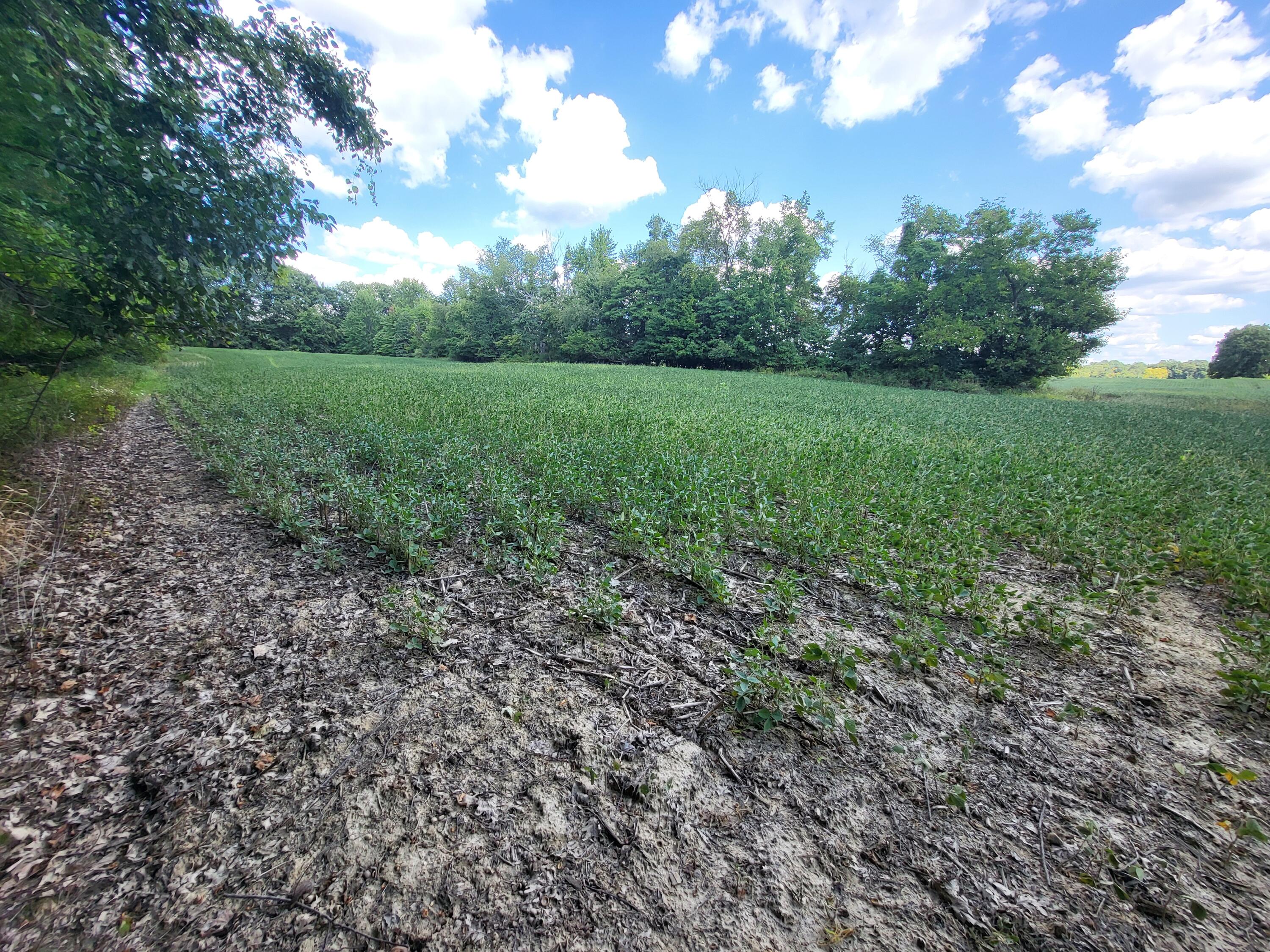 1400 Block Broceus School Road Buchanan MI 49107