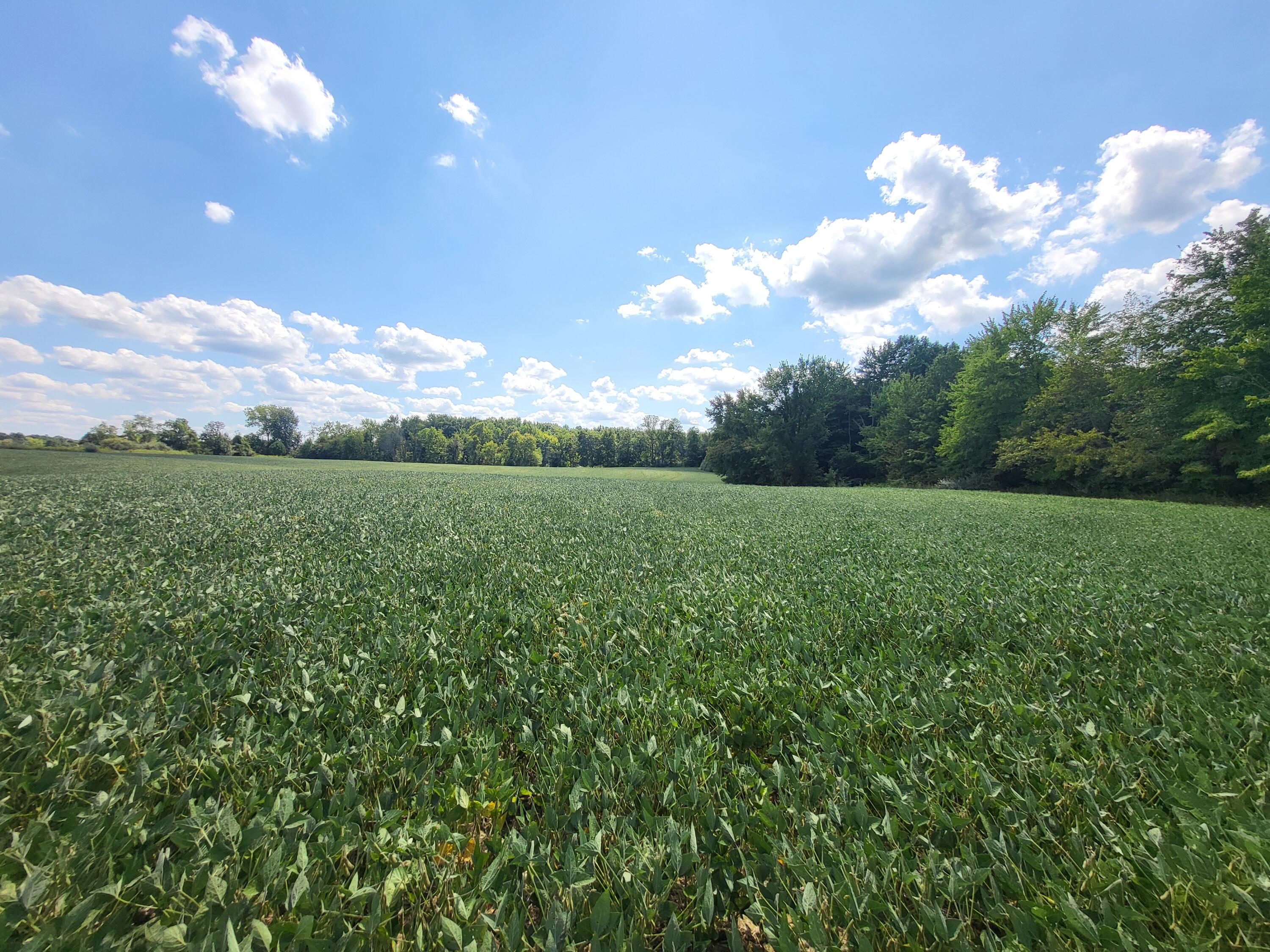 1400 Block Broceus School Road Buchanan MI 49107
