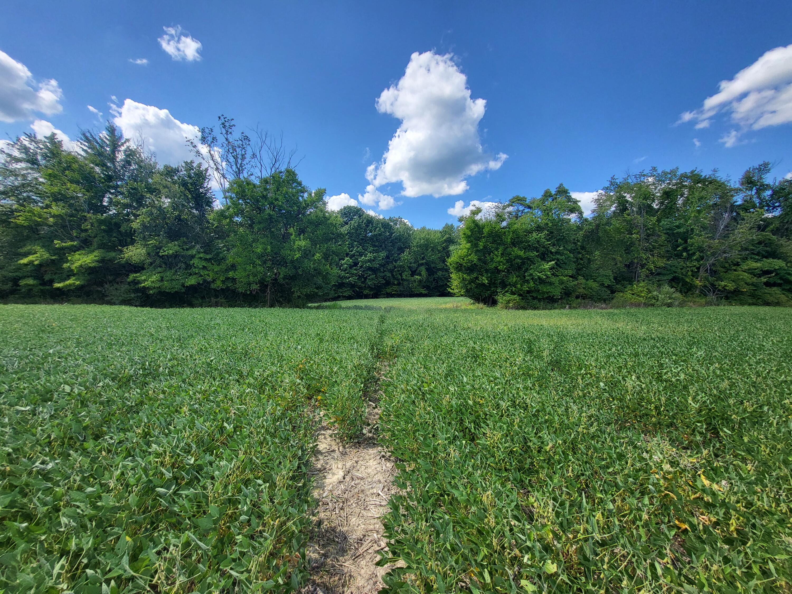 1400 Block Broceus School Road Buchanan MI 49107