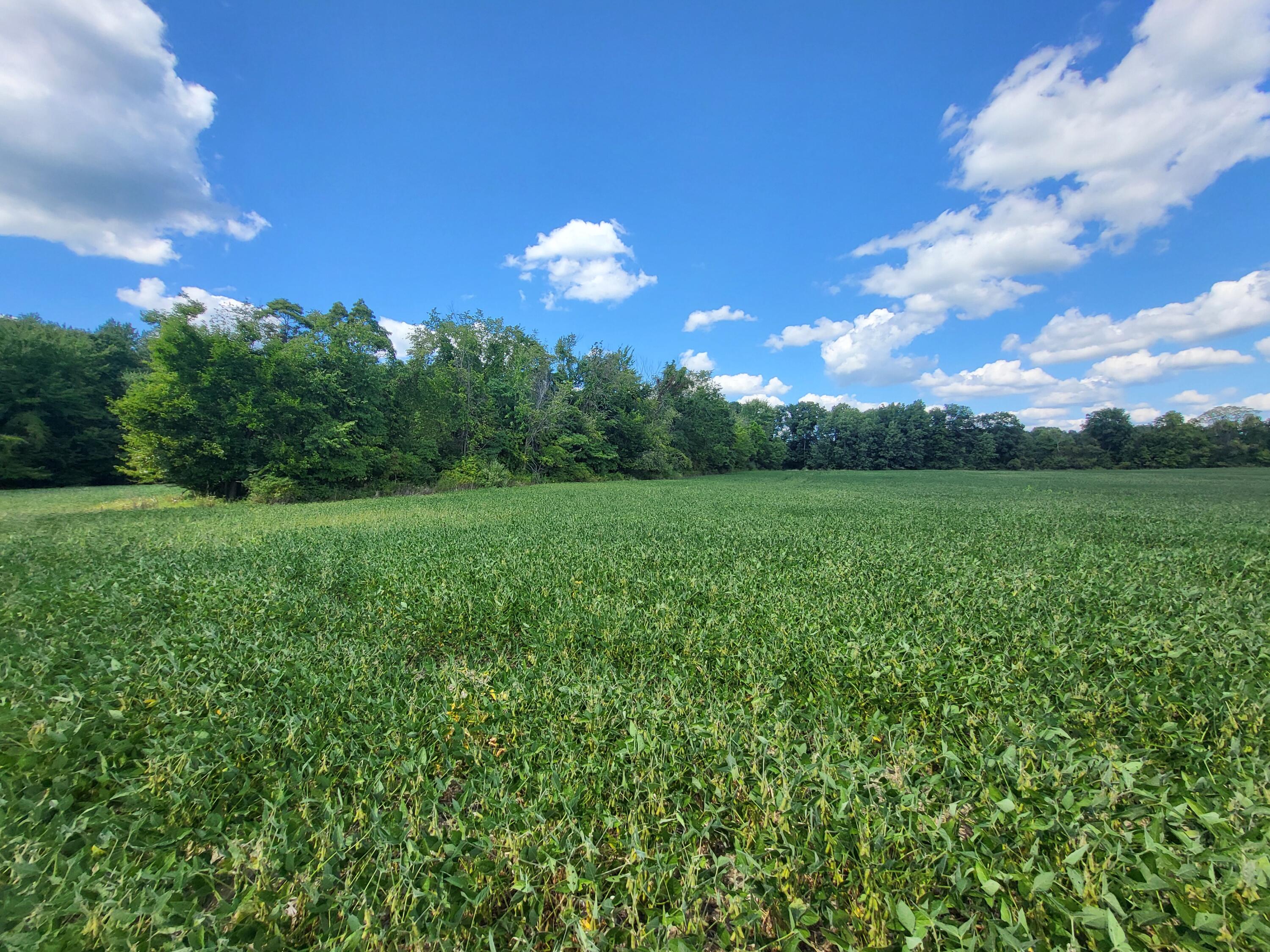 1400 Block Broceus School Road Buchanan MI 49107