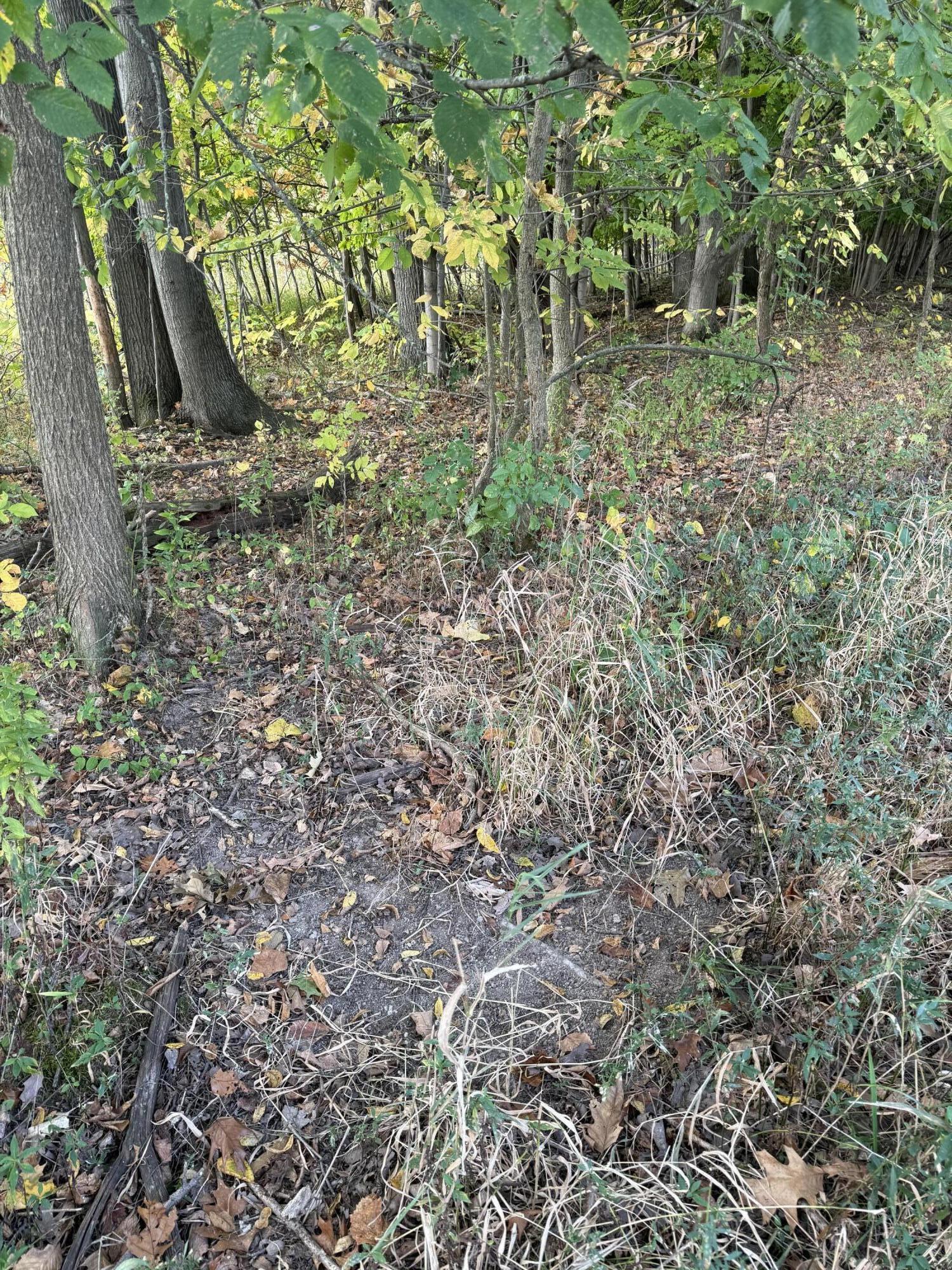 1400 Block Broceus School Road Buchanan MI 49107