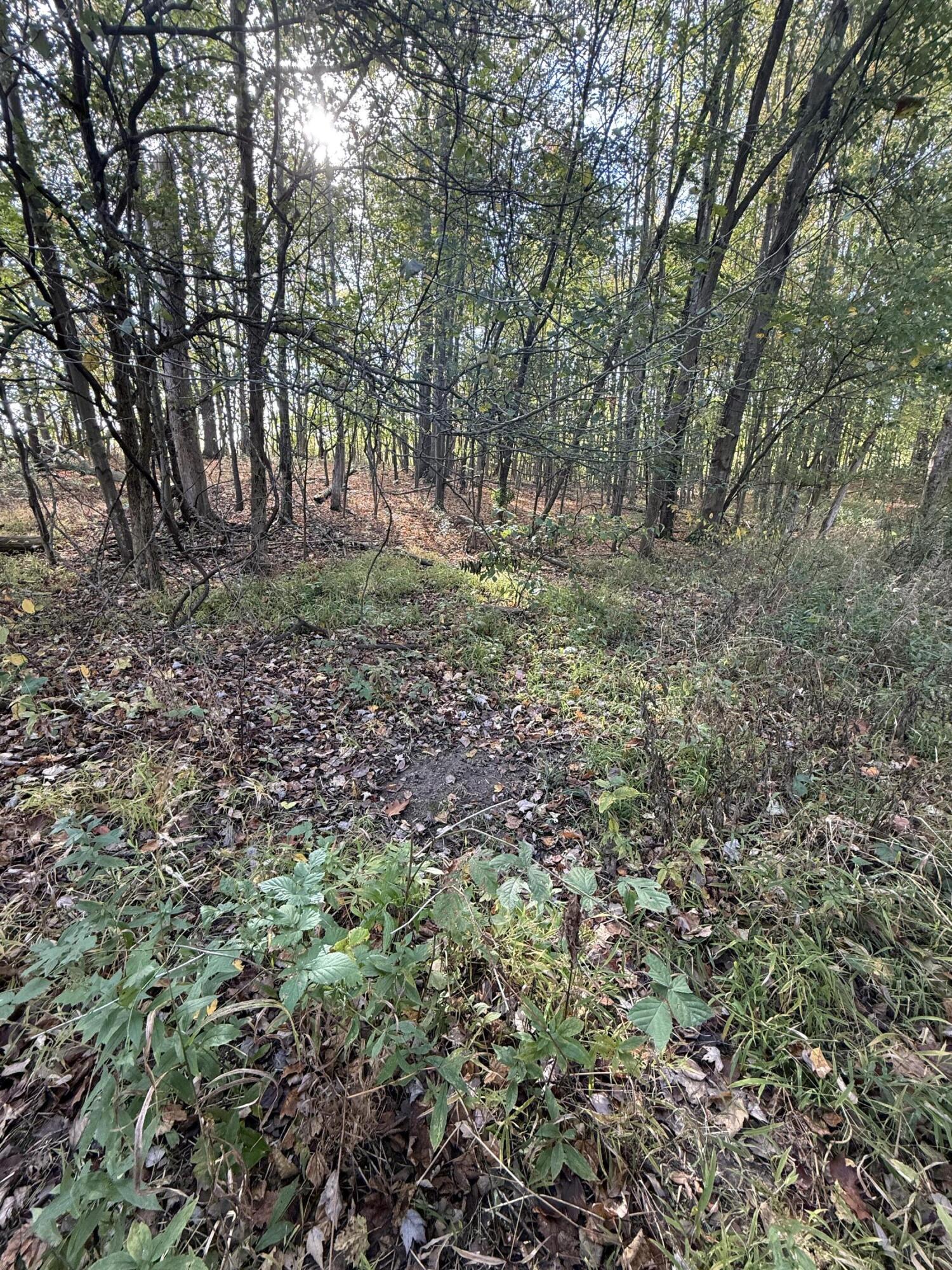 1400 Block Broceus School Road Buchanan MI 49107