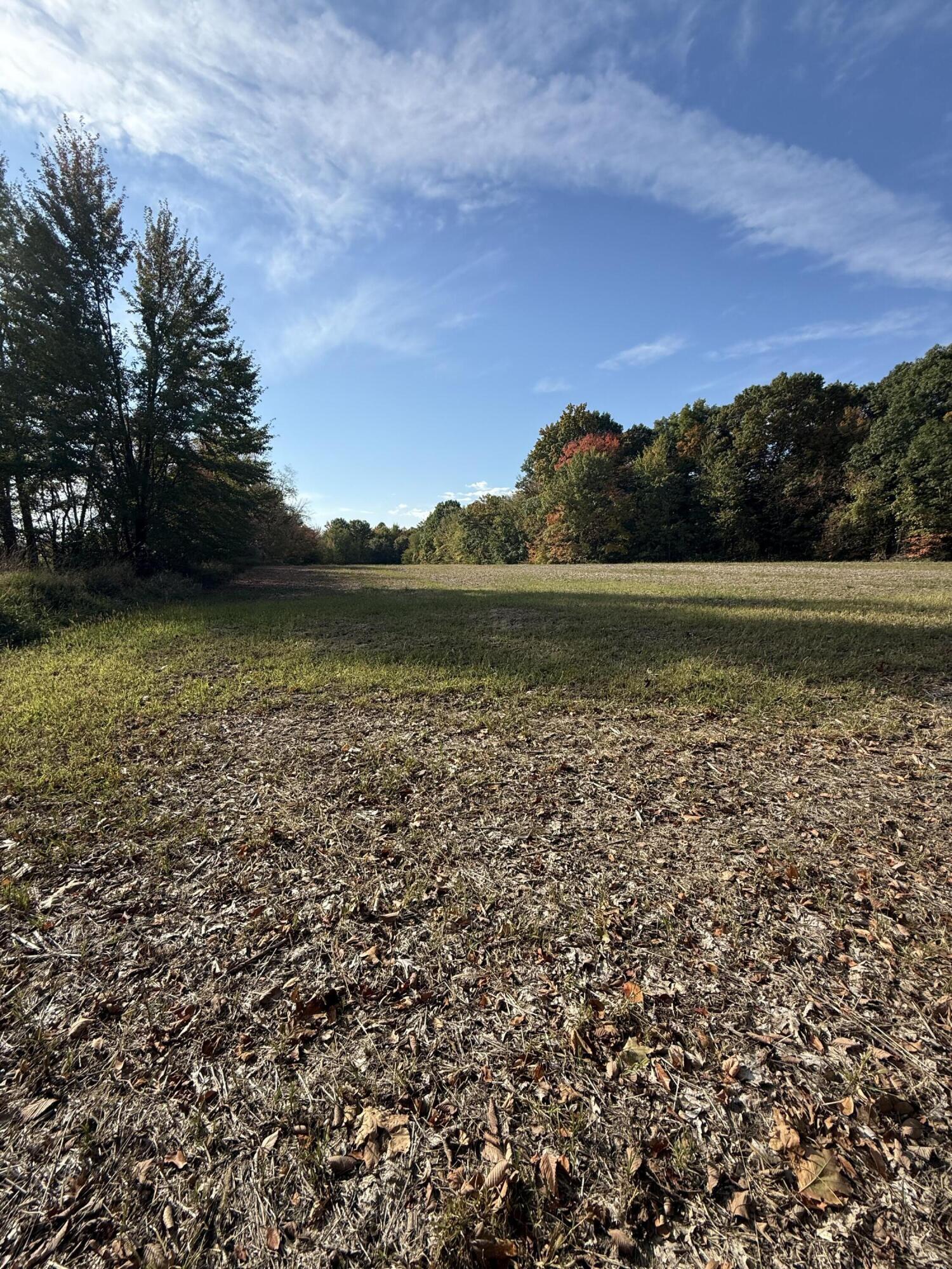 1400 Block Broceus School Road Buchanan MI 49107