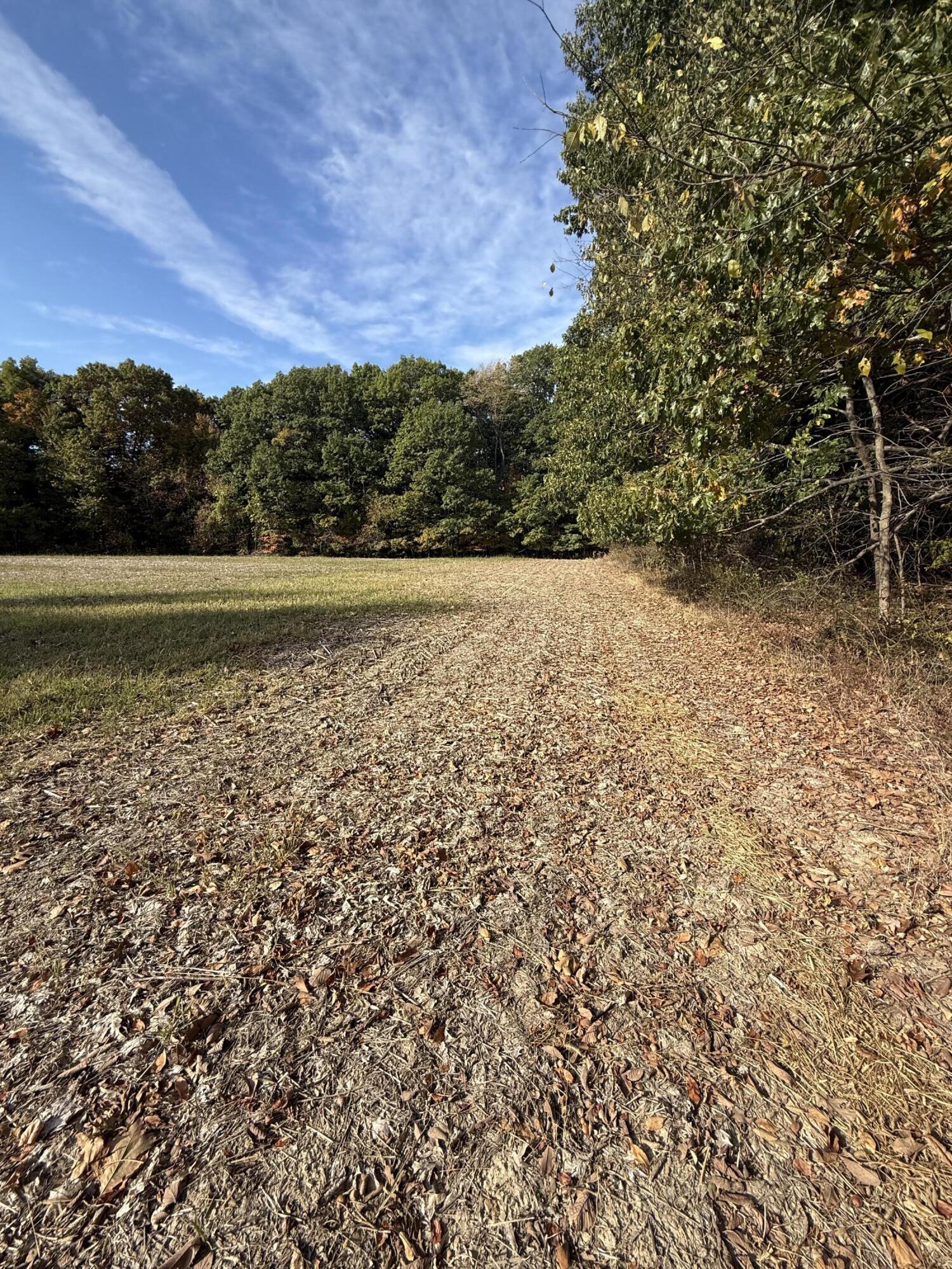 1400 Block Broceus School Road Buchanan MI 49107