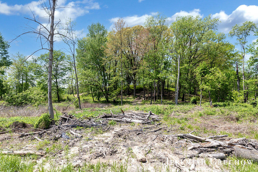 746 W Sedona Hills Court NE Grand Rapids MI 49525