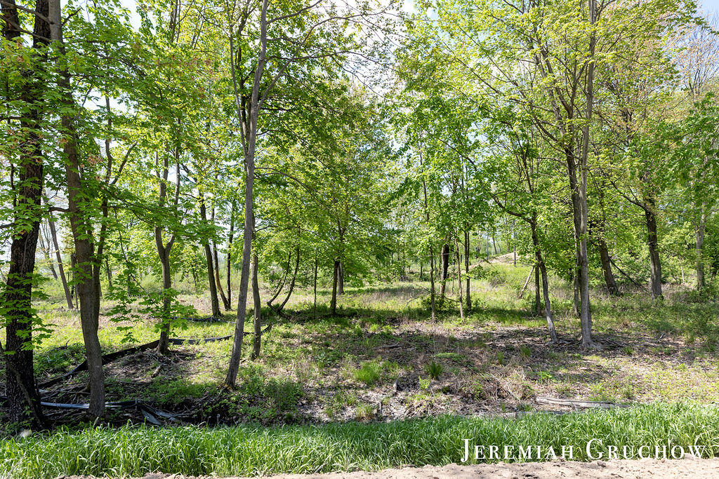 746 W Sedona Hills Court NE Grand Rapids MI 49525
