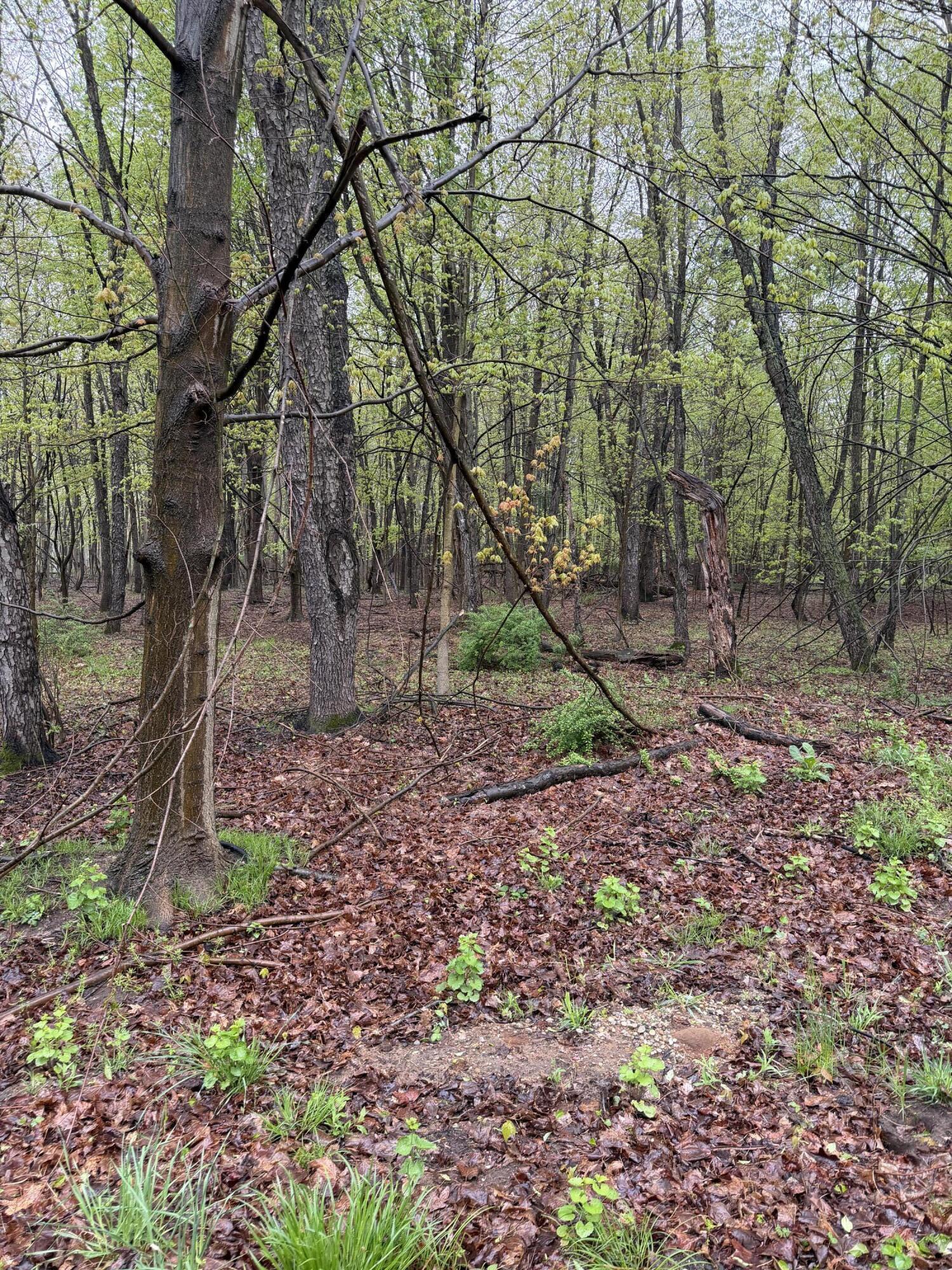 Lot 2 Christopher Lane South Haven MI 49090