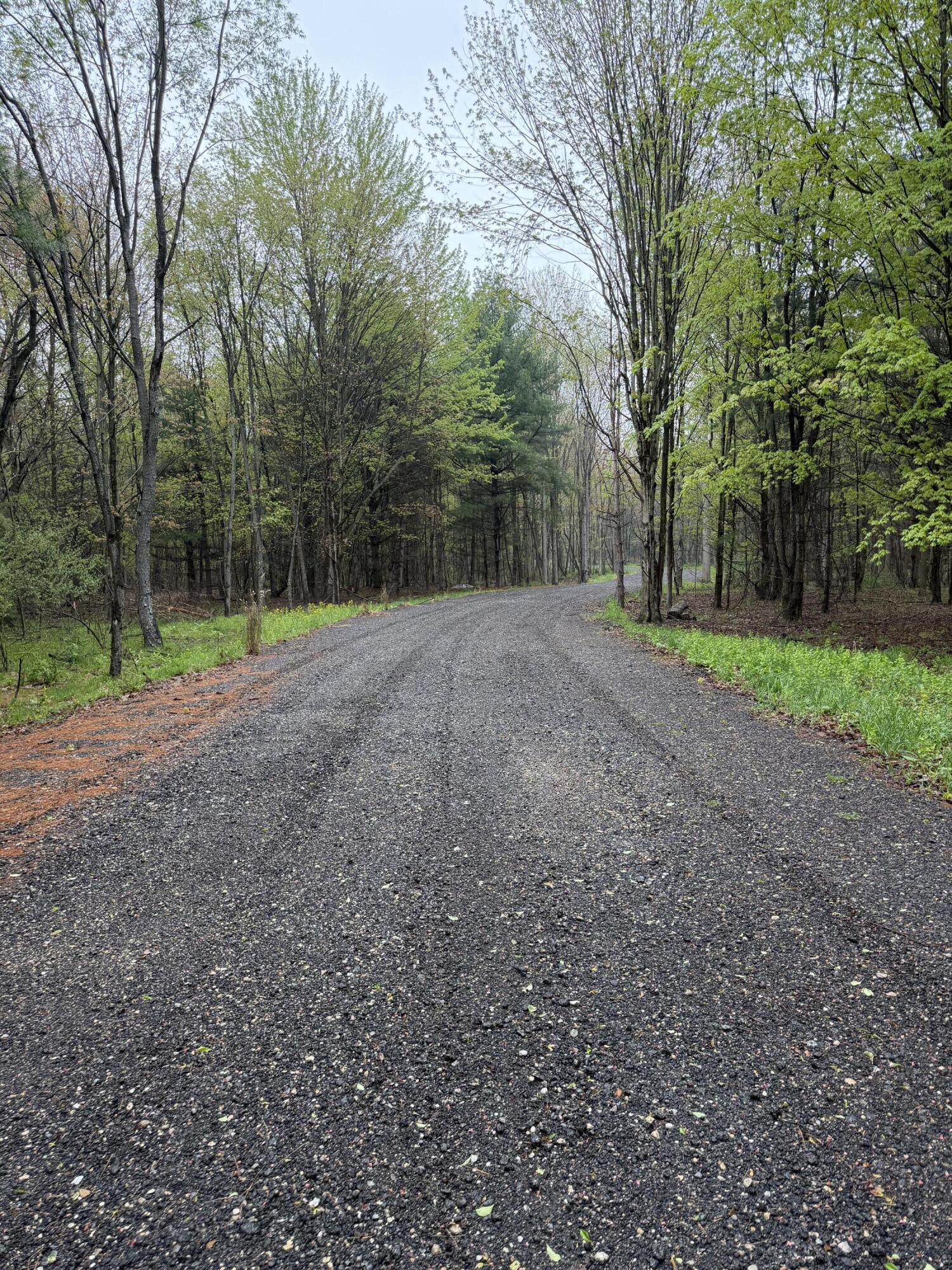 Lot 2 Christopher Lane South Haven MI 49090
