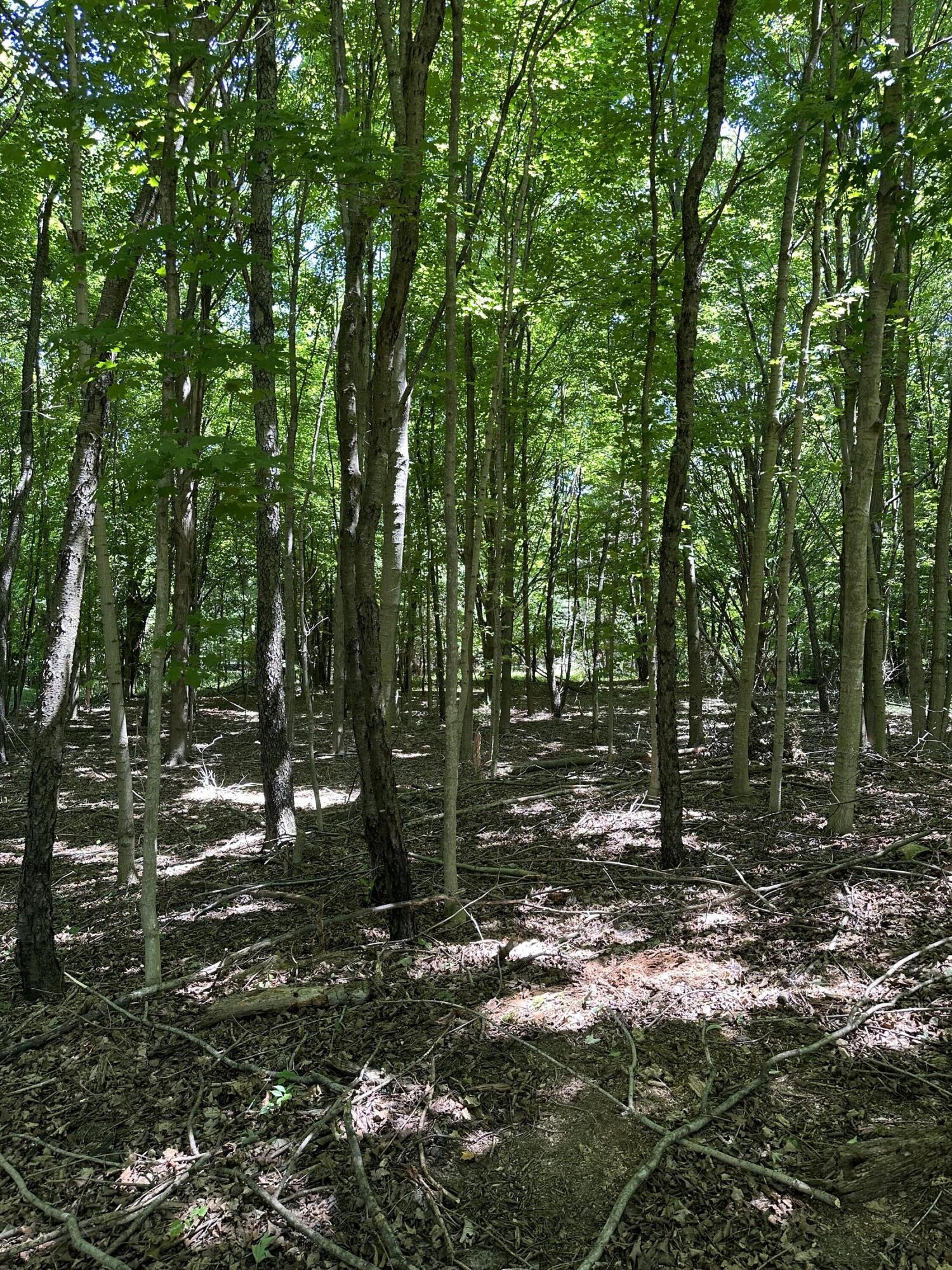 Lot 2 Christopher Lane South Haven MI 49090