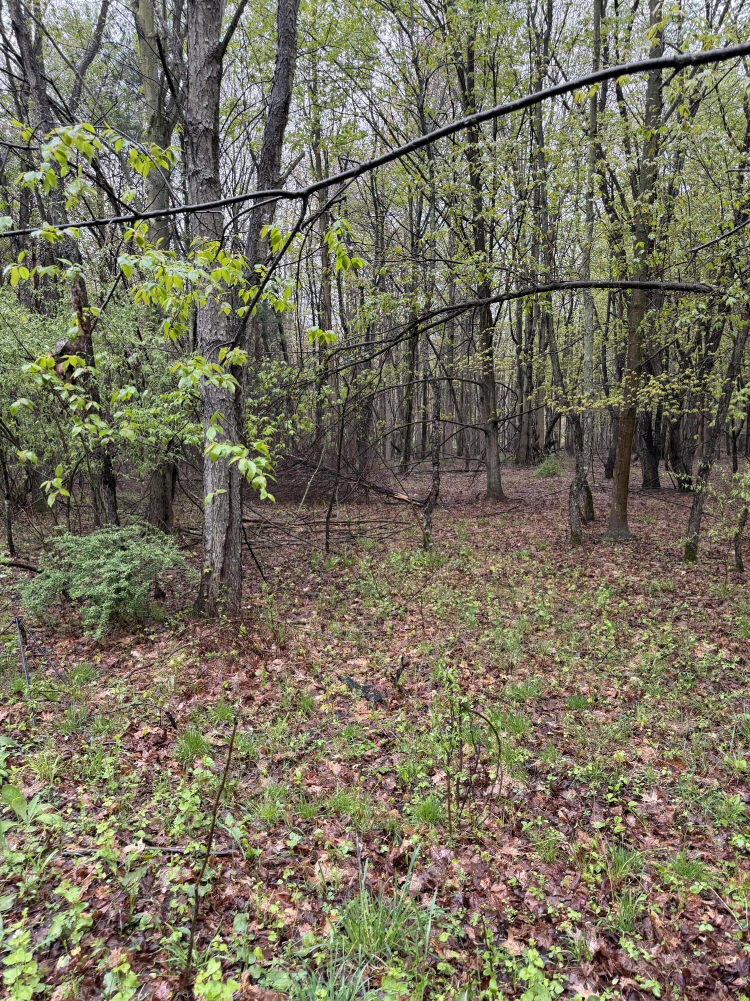 Lot 2 Christopher Lane South Haven MI 49090