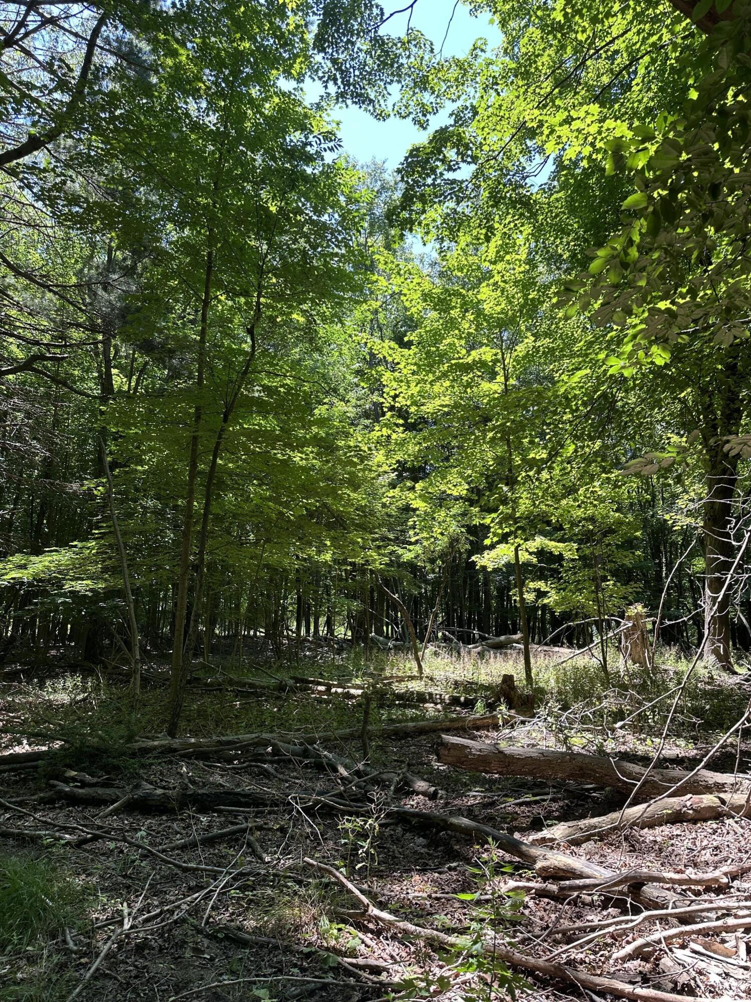 Lot 2 Christopher Lane South Haven MI 49090