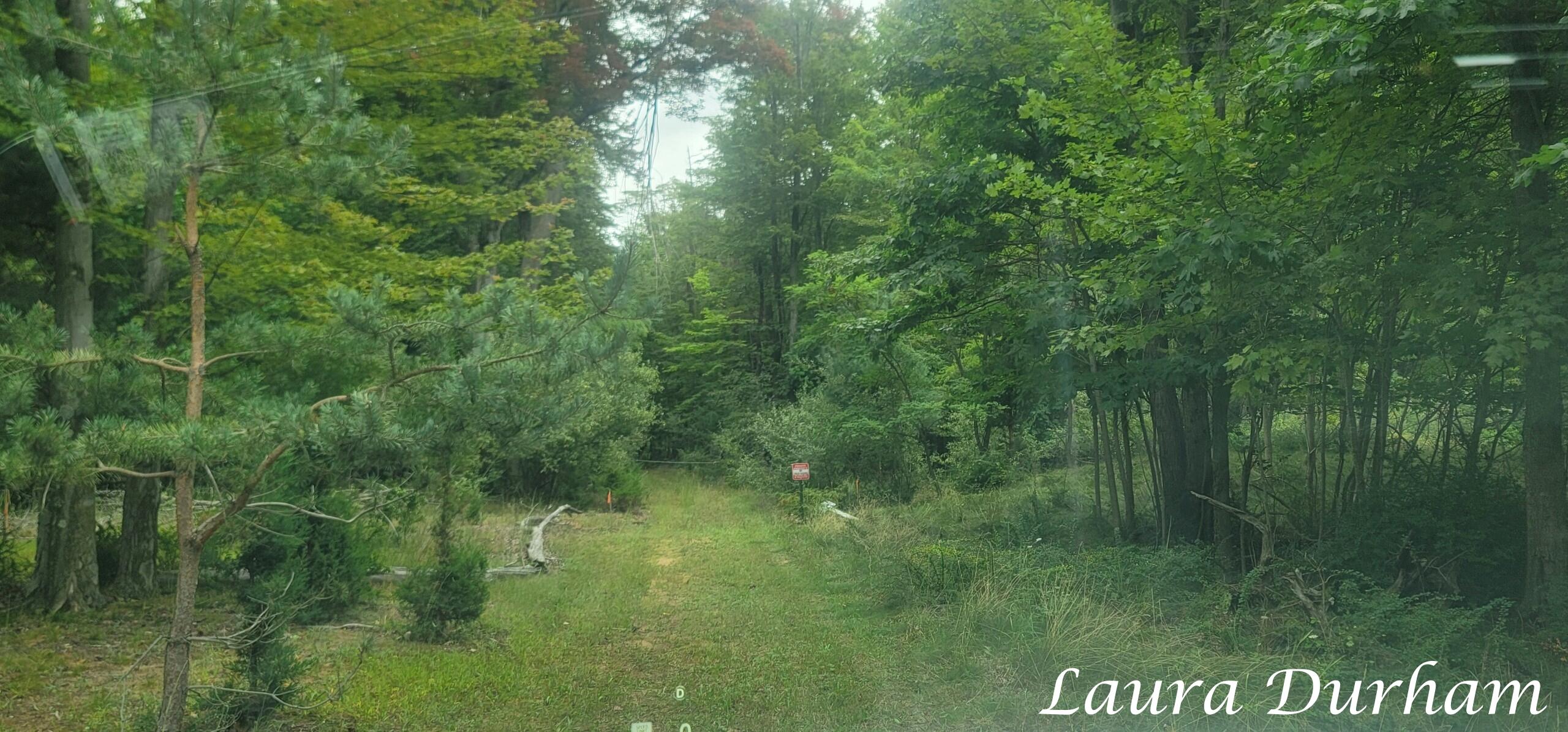 Ville Old Owl Drive Fennville MI 49408