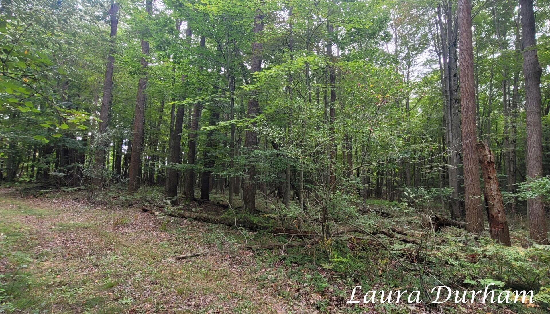 Ville Old Owl Drive Fennville MI 49408