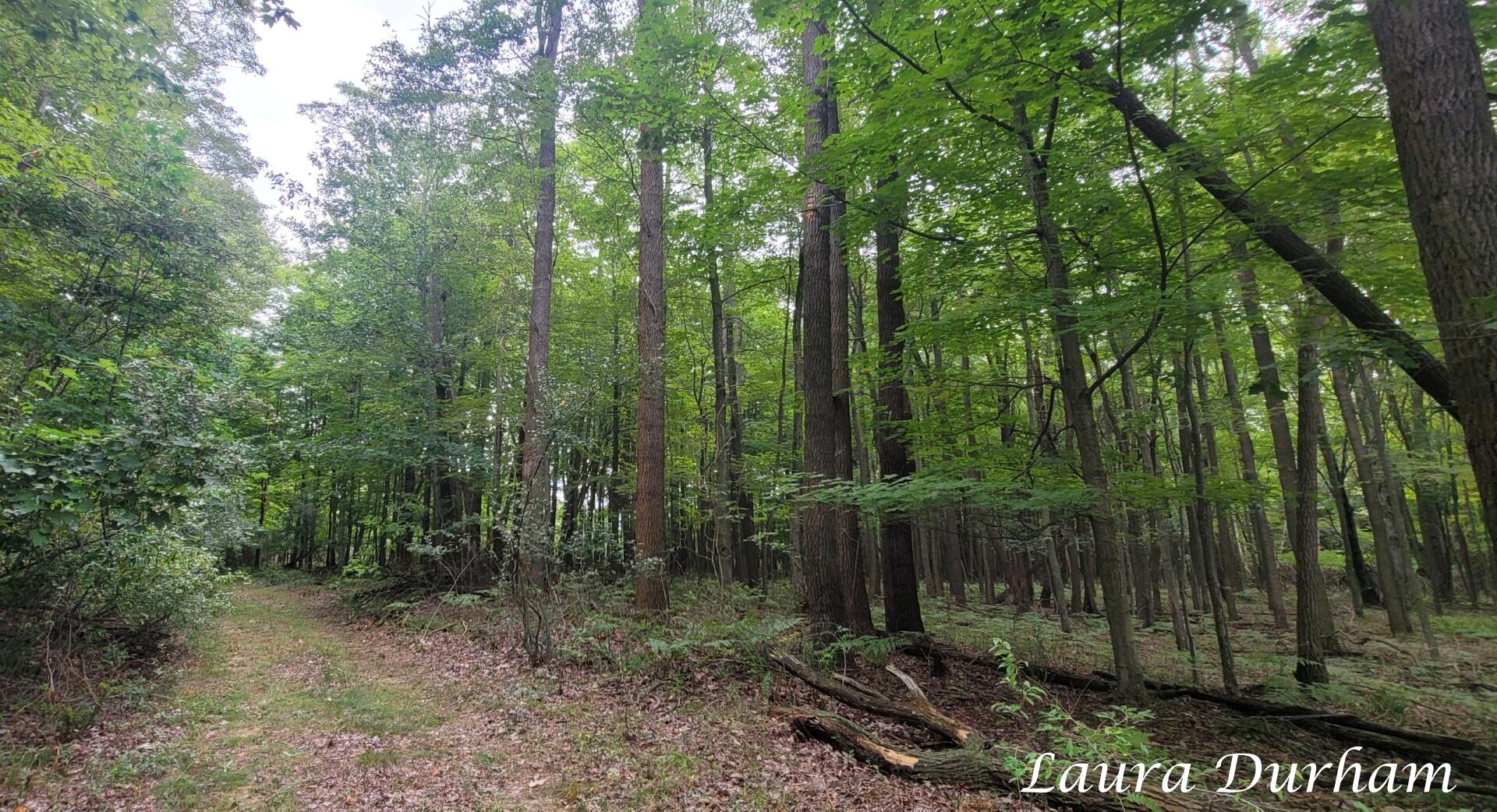 Ville Old Owl Drive Fennville MI 49408