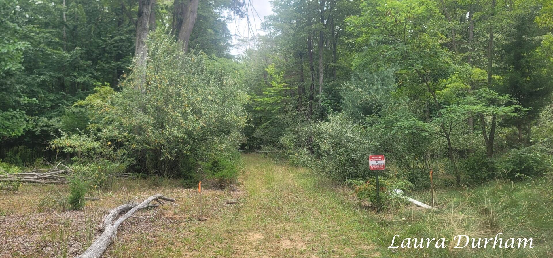 Ville Old Owl Drive Fennville MI 49408