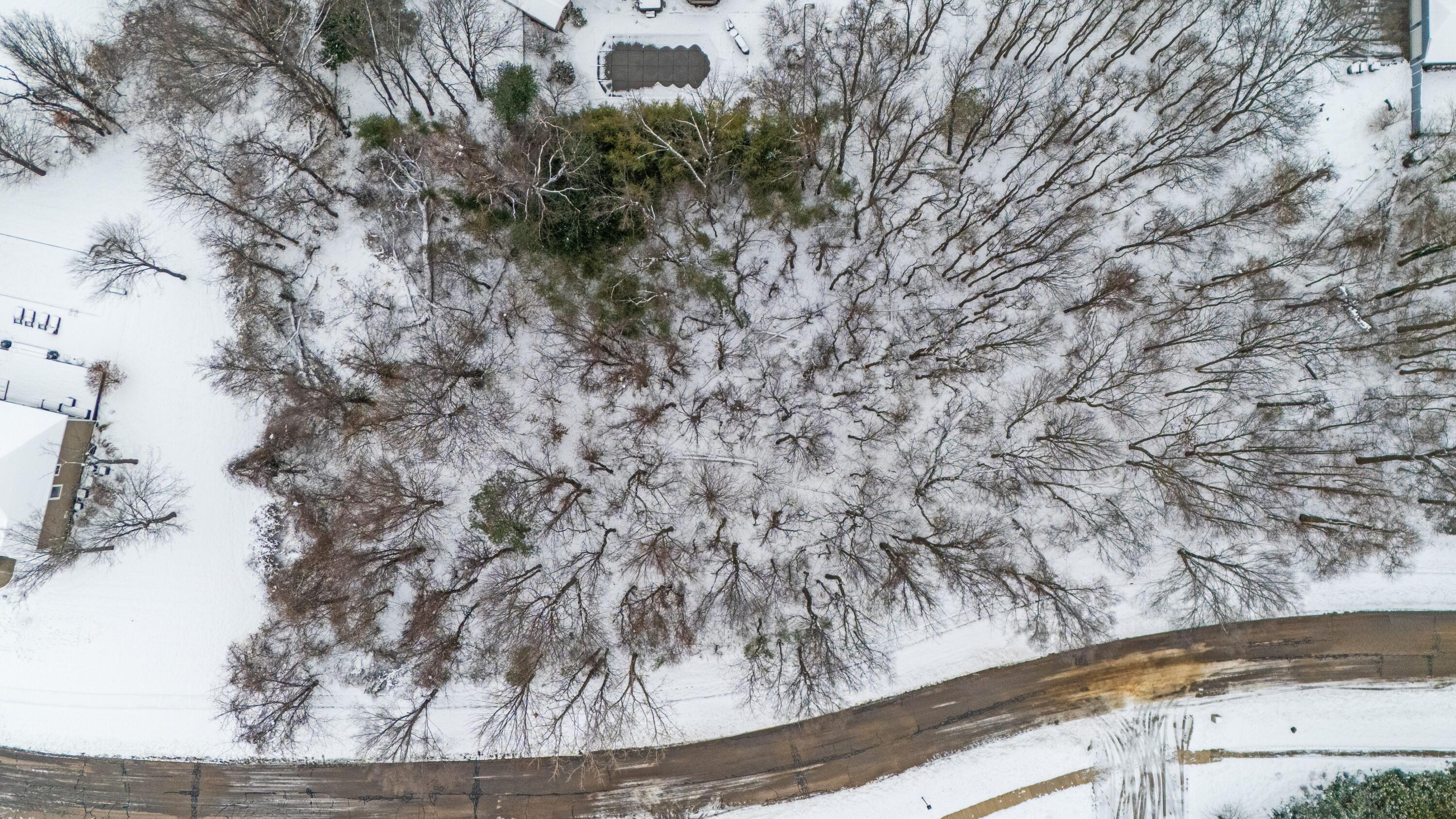 1950 N Donna Drive Stevensville MI 49127