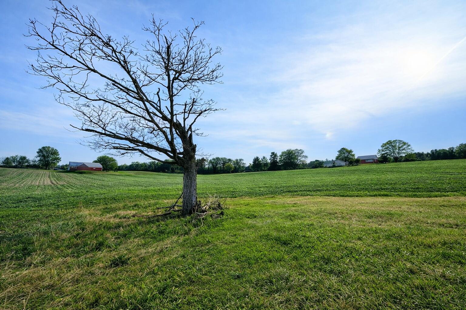 15774 Townline Road Buchanan MI 49107
